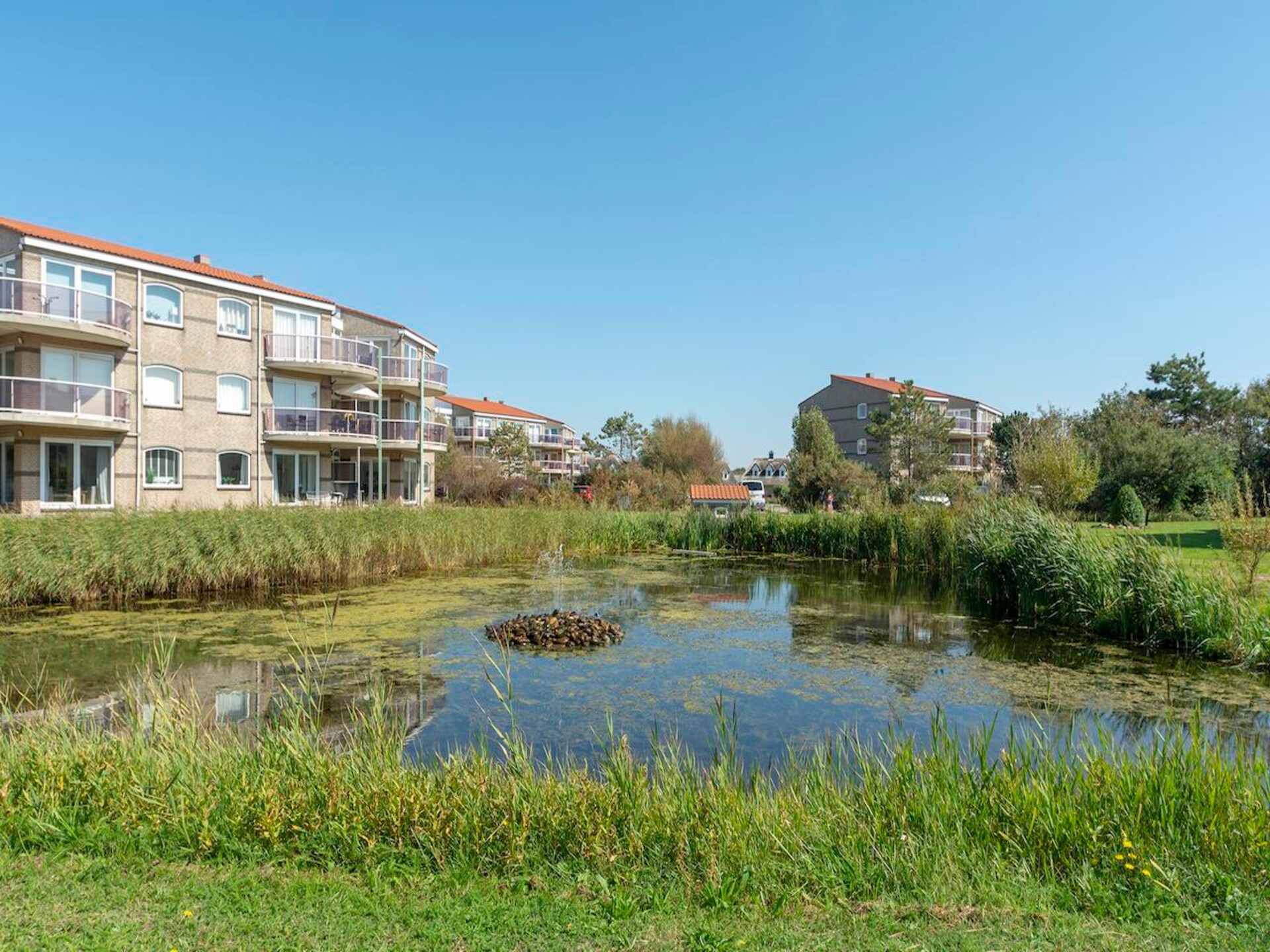 Juliana 34: Modern appartement met duinuitzicht op 1 km van het strand - foto 8