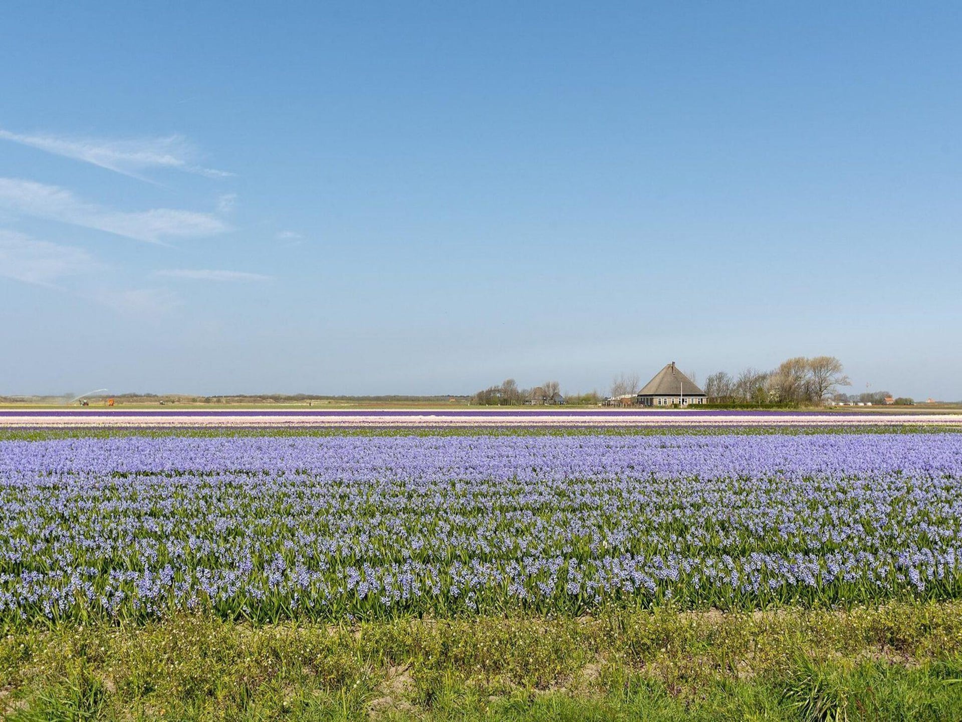 Ruime villa voor 7 personen in Julianadorp aan Zee · 110 m² - foto 39
