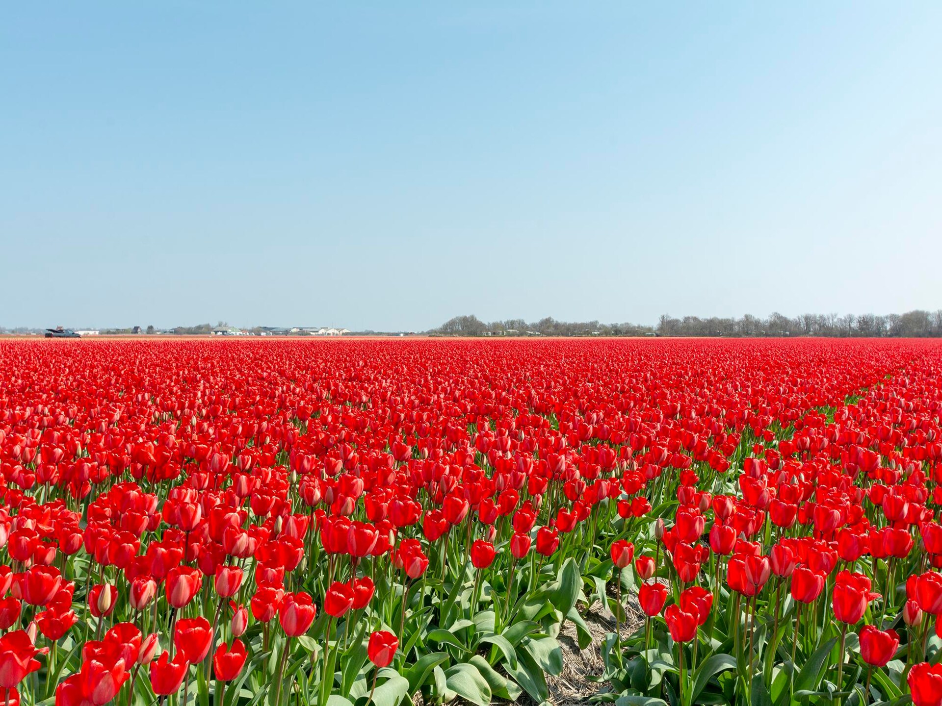 Wellness-appartement Wijde Blick 307: ontspanning aan de Noord-Hollandse kust - foto 14