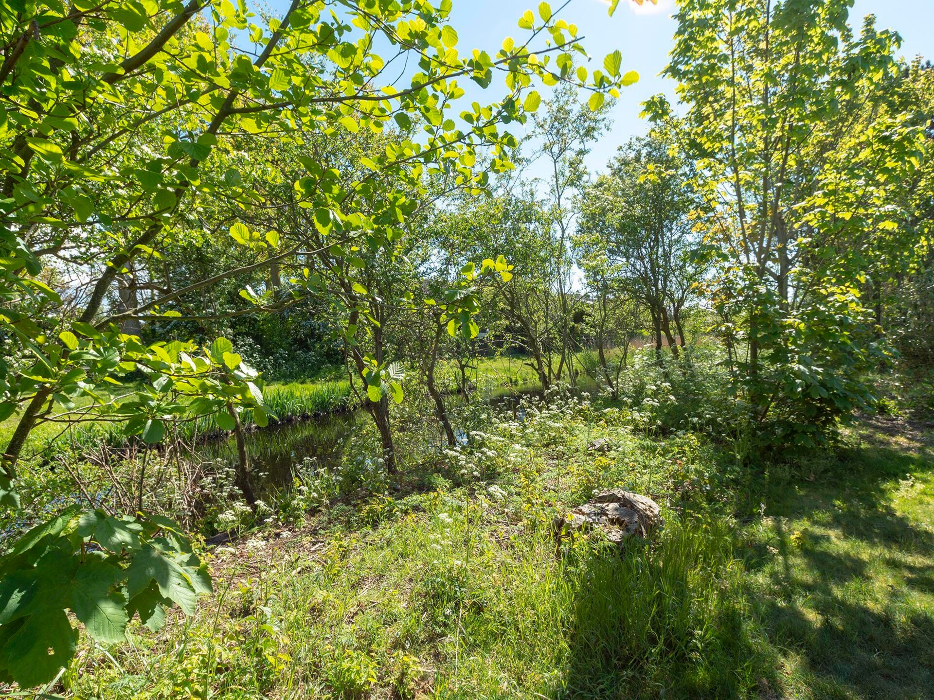 Vrijstaande bungalow in hartje Callantsoog, 750m van het strand - foto 17