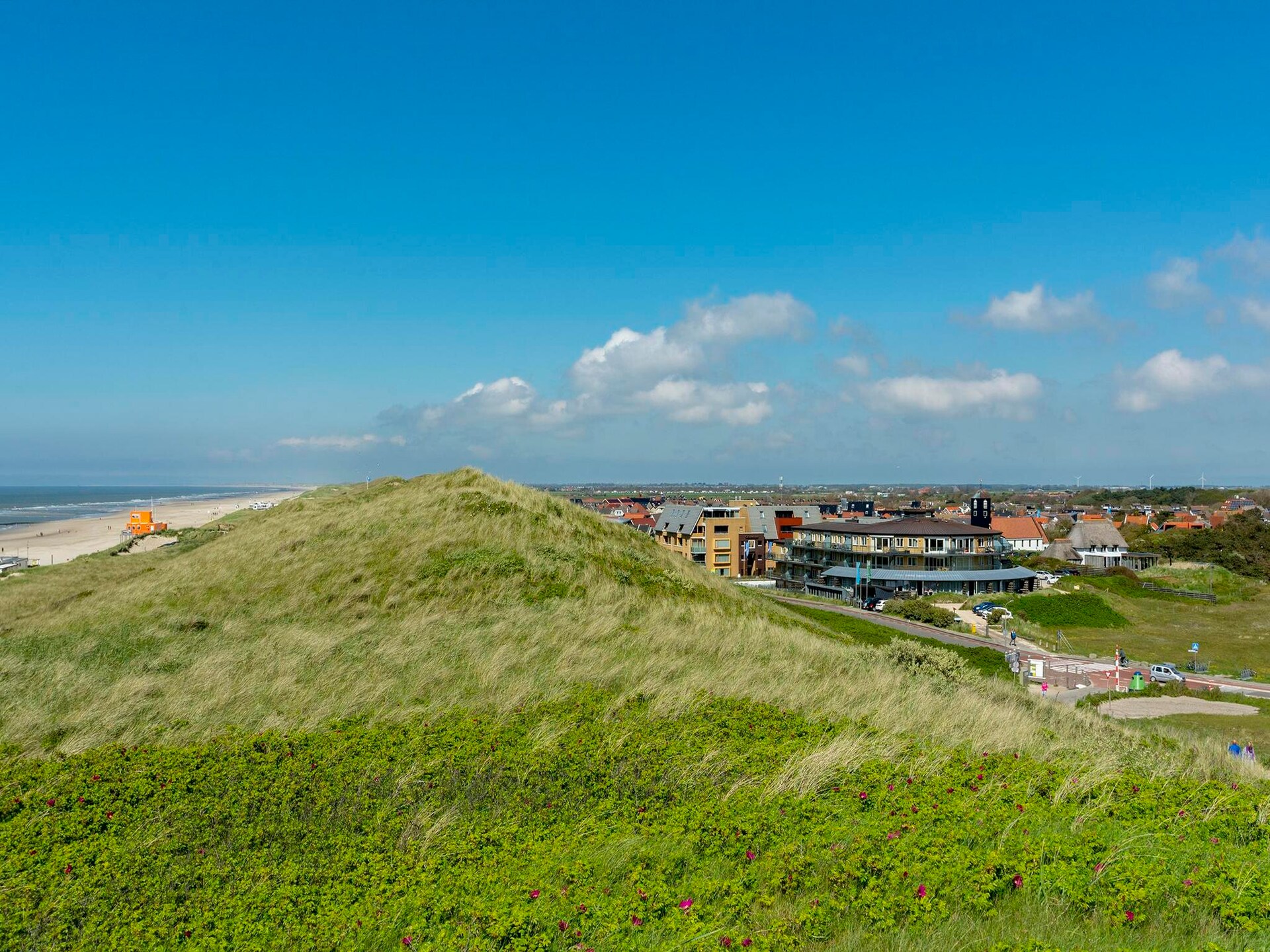 Wijde Blick 310: Kleurrijk appartement op 250m van het strand in Callantsoog - foto 23