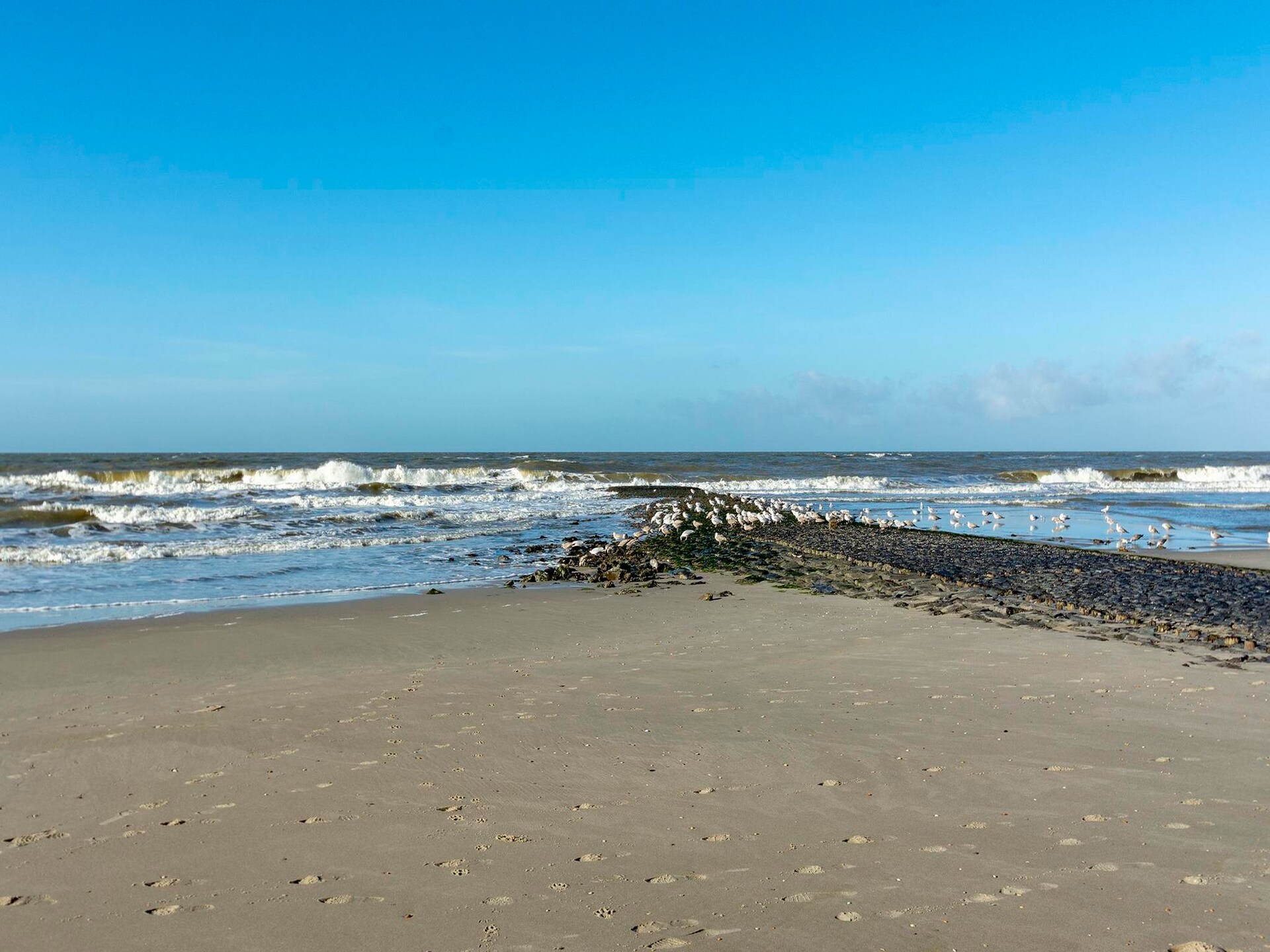 Wijde Blick 310: Kleurrijk appartement op 250m van het strand in Callantsoog - foto 22