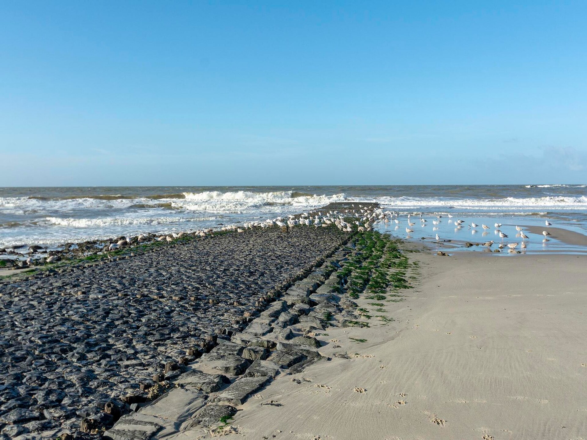 Ruim appartement Wijde Blick 311 in hartje Callantsoog, 250m van strand - foto 20