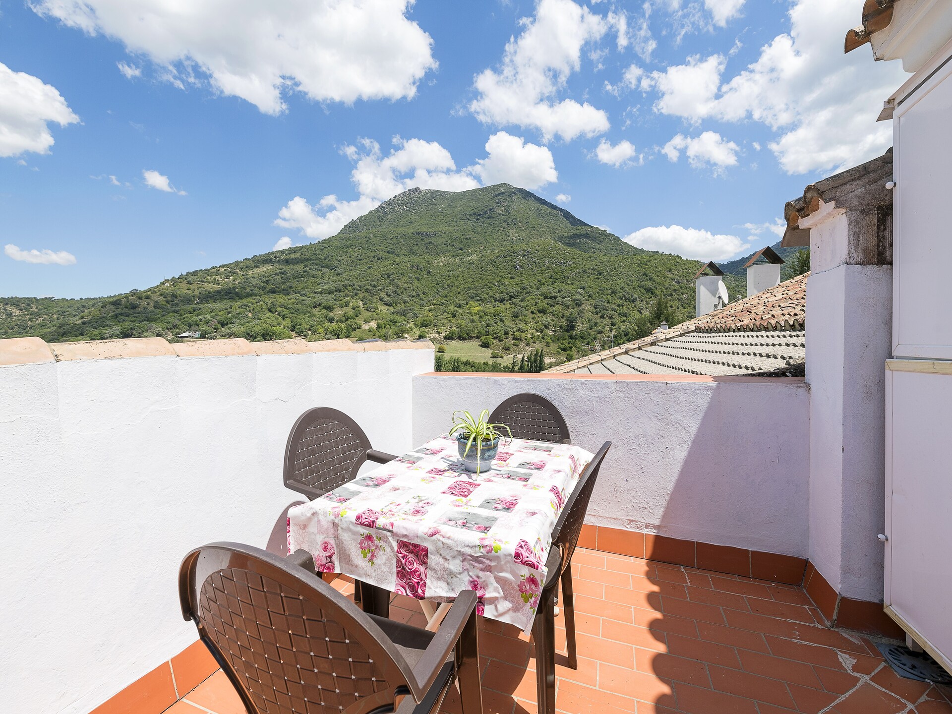 Licht appartement met bergzicht en terras in Benamahoma, Cádiz - foto 17