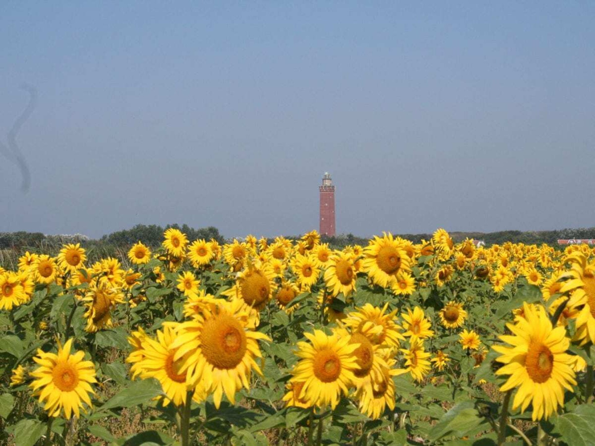 Comfortabel vakantiehuis op 15 minuten wandelen van het Noordzeestrand - foto 23