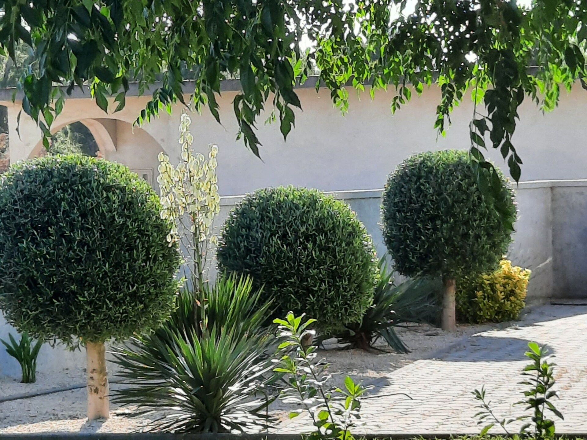 Op 400 m van het strand: Ruim appartement in Vrsi voor 5 personen - foto 16