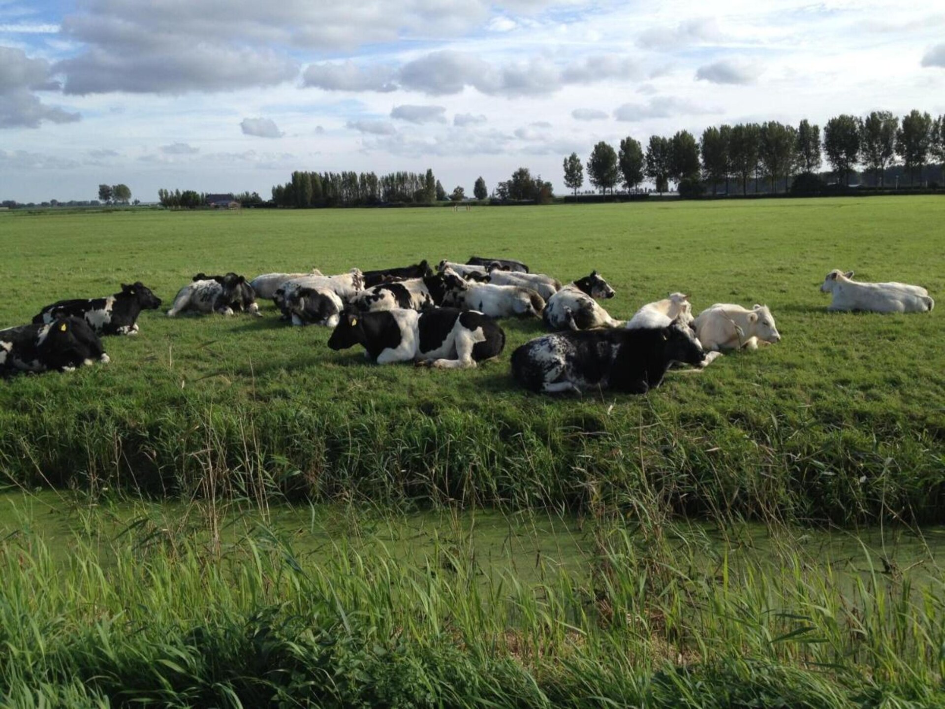 Vrijstaand waterhuis aan het meer in Simonshaven – ideaal voor 6 personen - foto 30