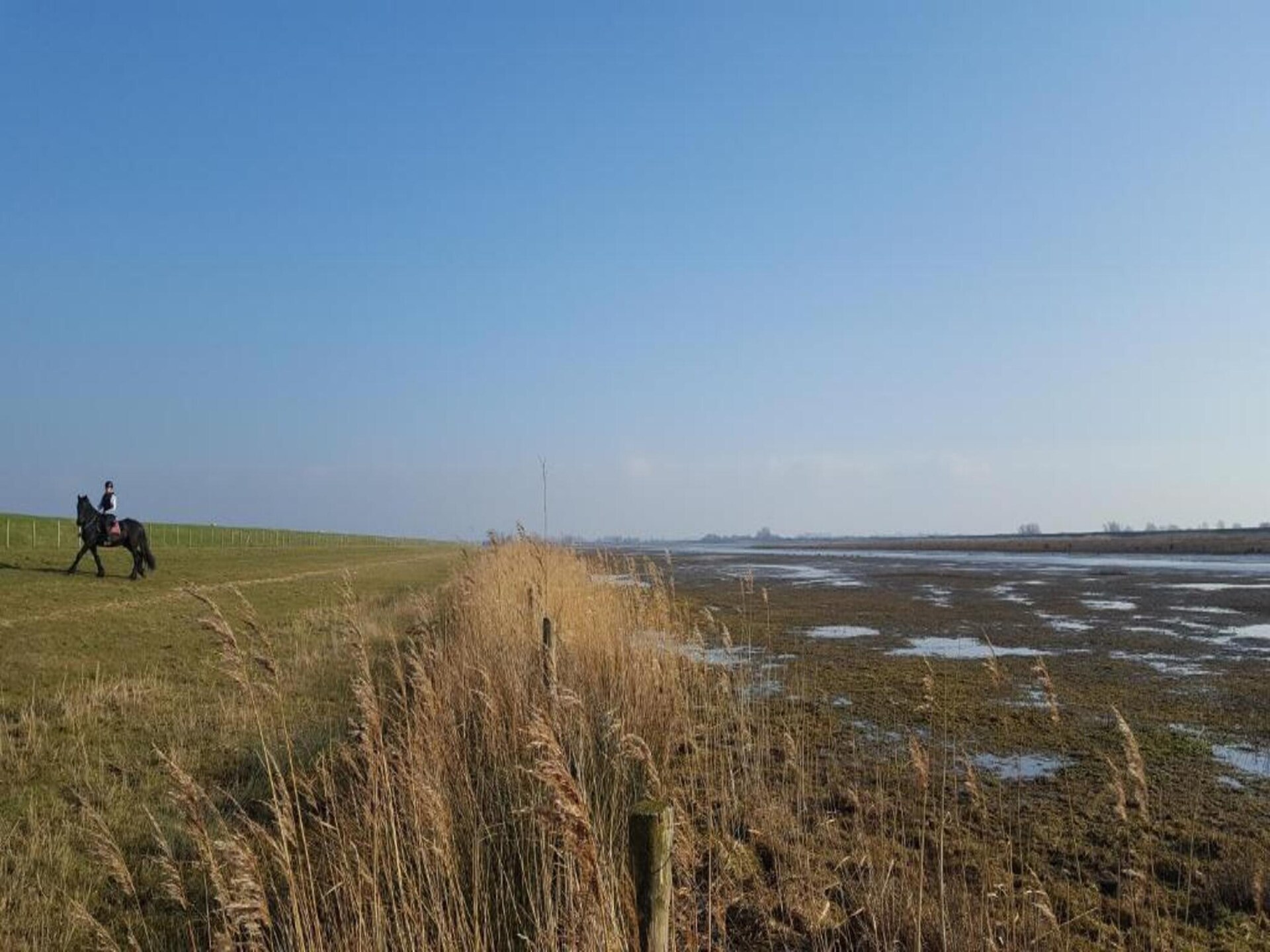 Vrijstaand waterhuis aan het meer in Simonshaven – ideaal voor 6 personen - foto 32
