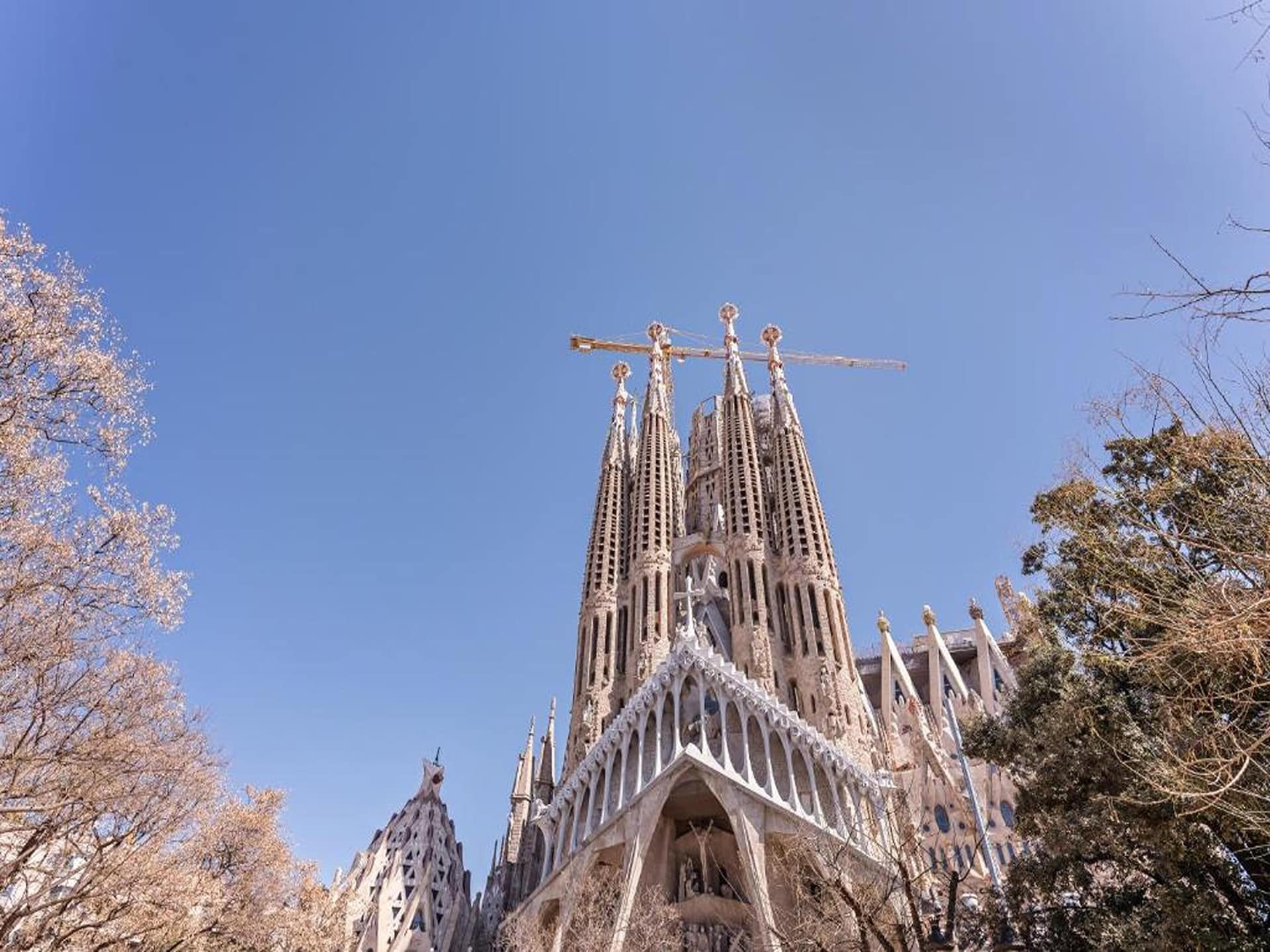 Stijlvol appartement in Eixample, op 4 km van het strand van Barcelona - foto 25