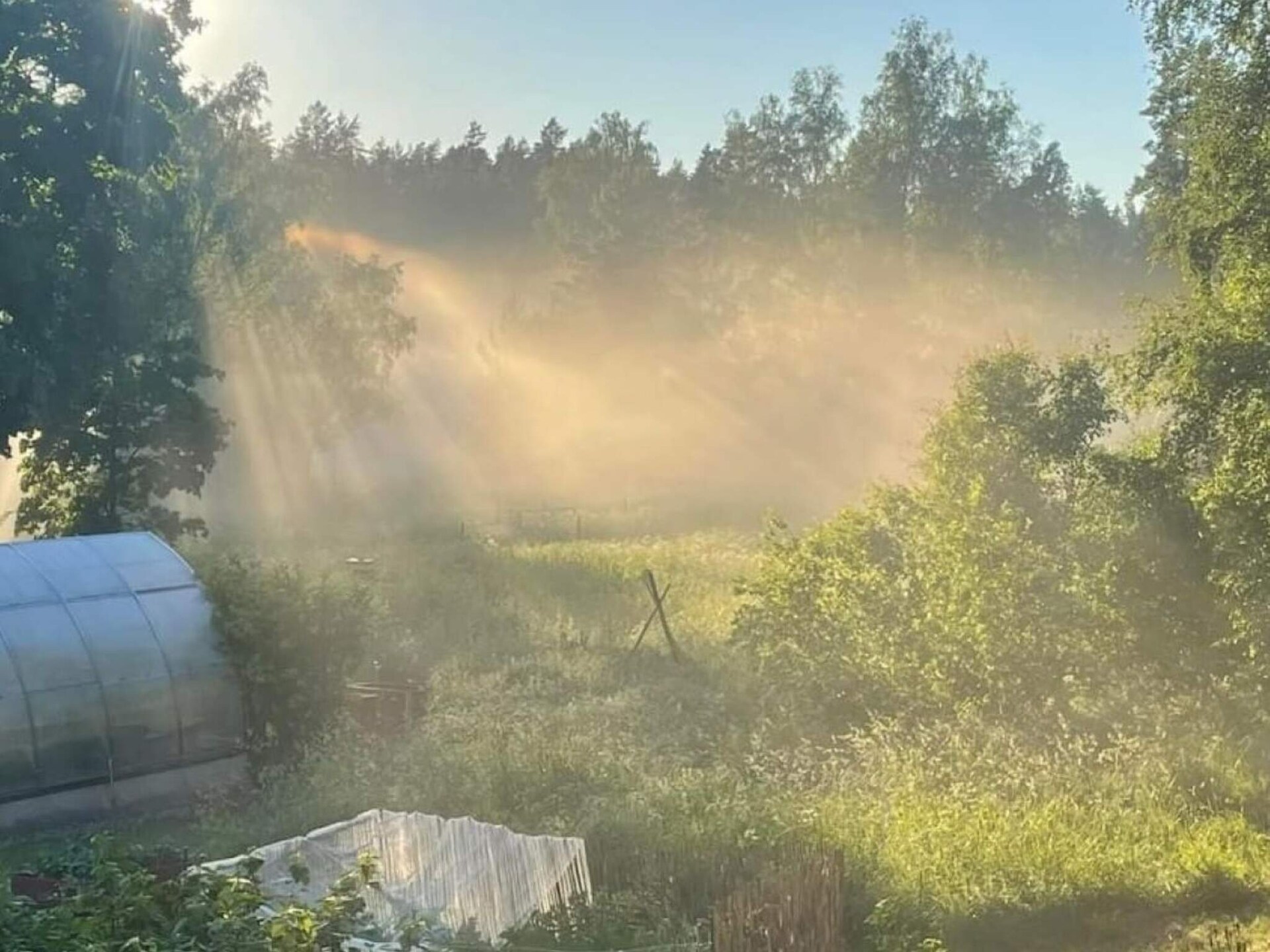 Charmant 19e-eeuws huisje op boerenerf bij Nykvarn, nabij Stockholm - foto 6