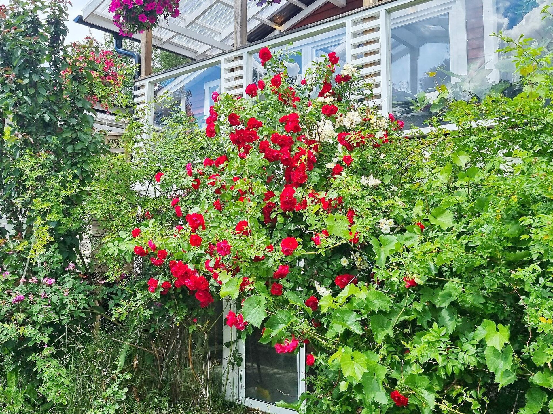 Vrijstaand vakantiehuis met zeezicht en weelderige tuin nabij Stockholm - foto 9