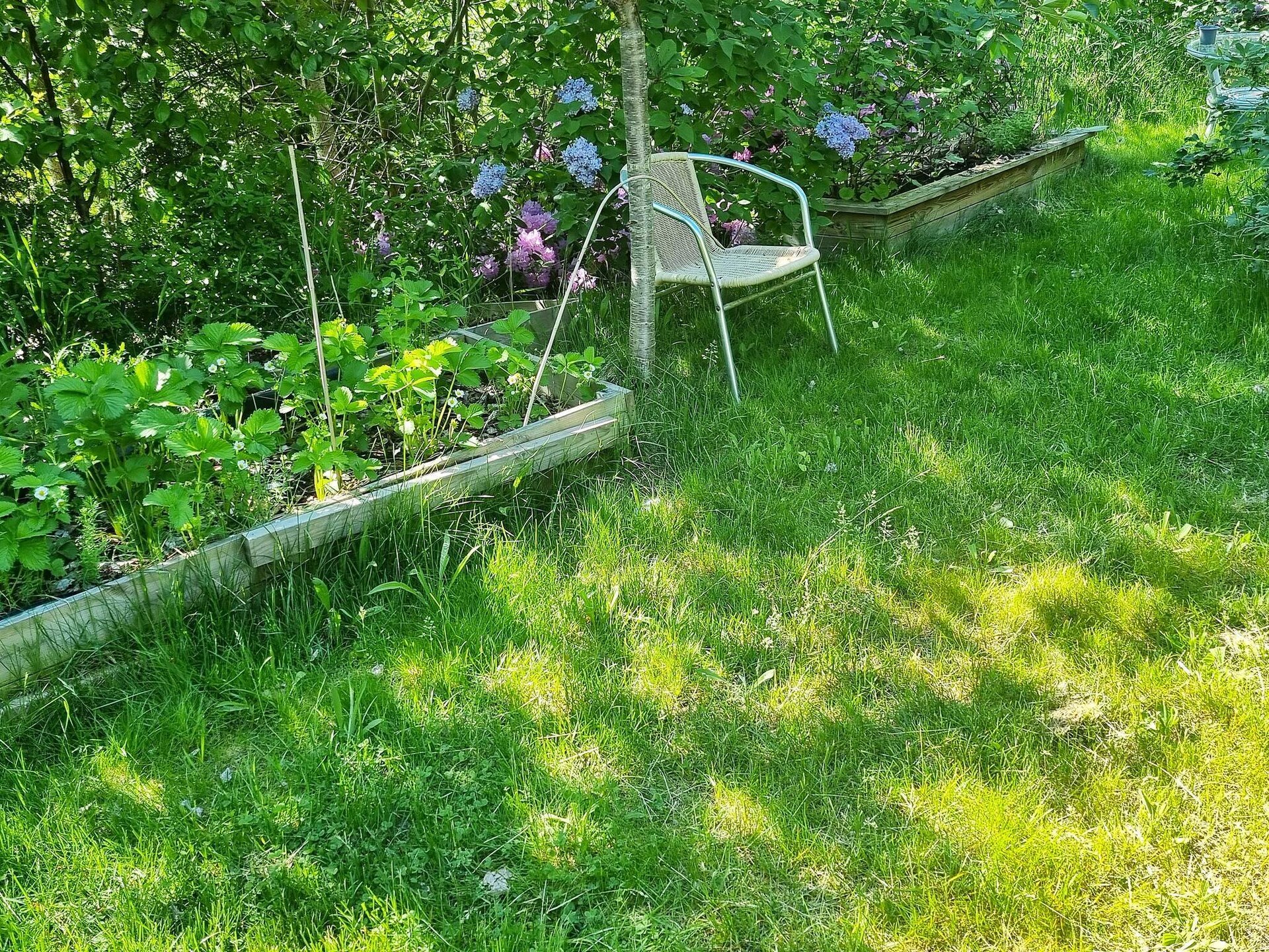 Vrijstaand vakantiehuis met zeezicht en weelderige tuin nabij Stockholm - foto 12