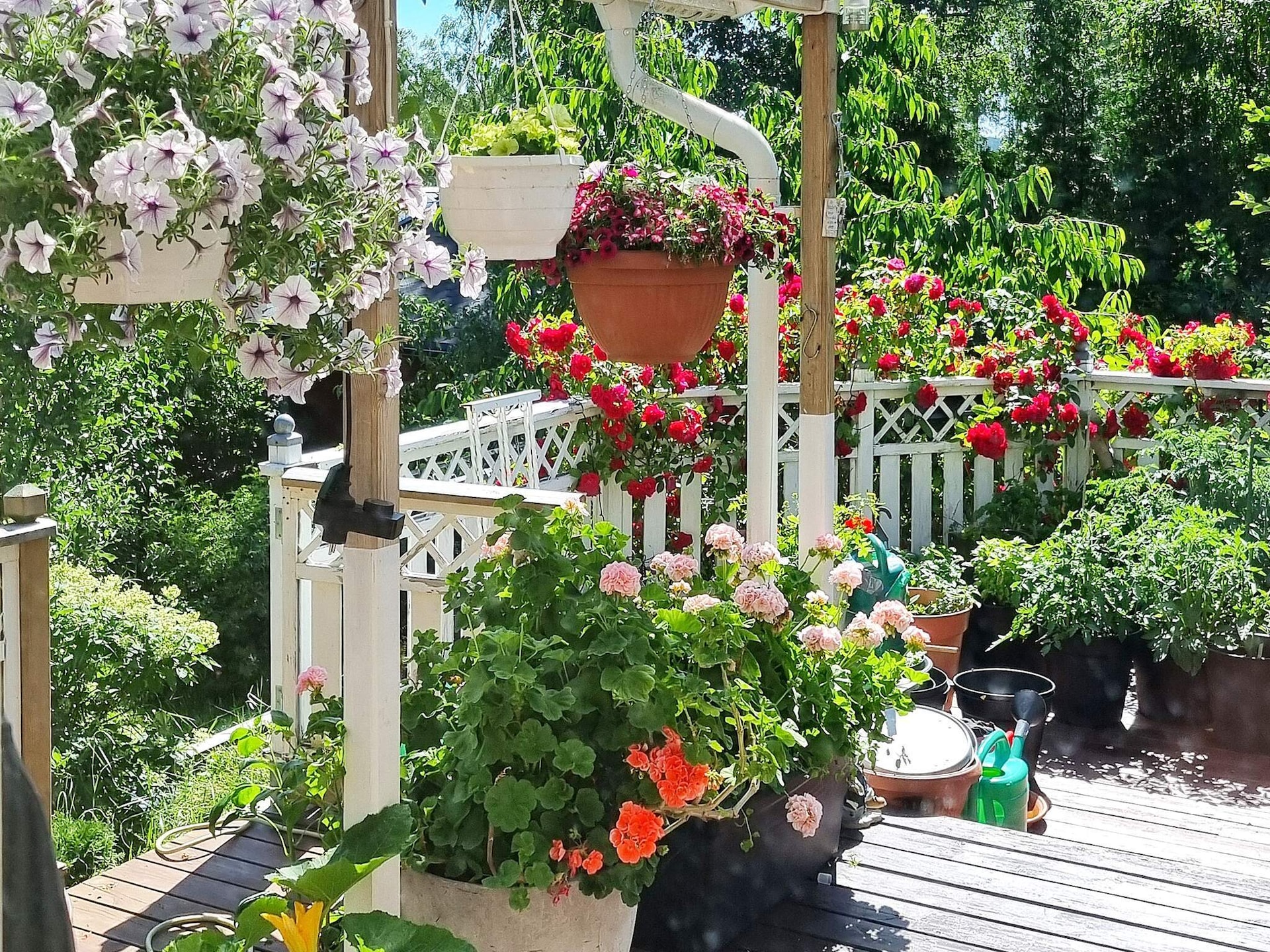 Vrijstaand vakantiehuis met zeezicht en weelderige tuin nabij Stockholm - foto 7