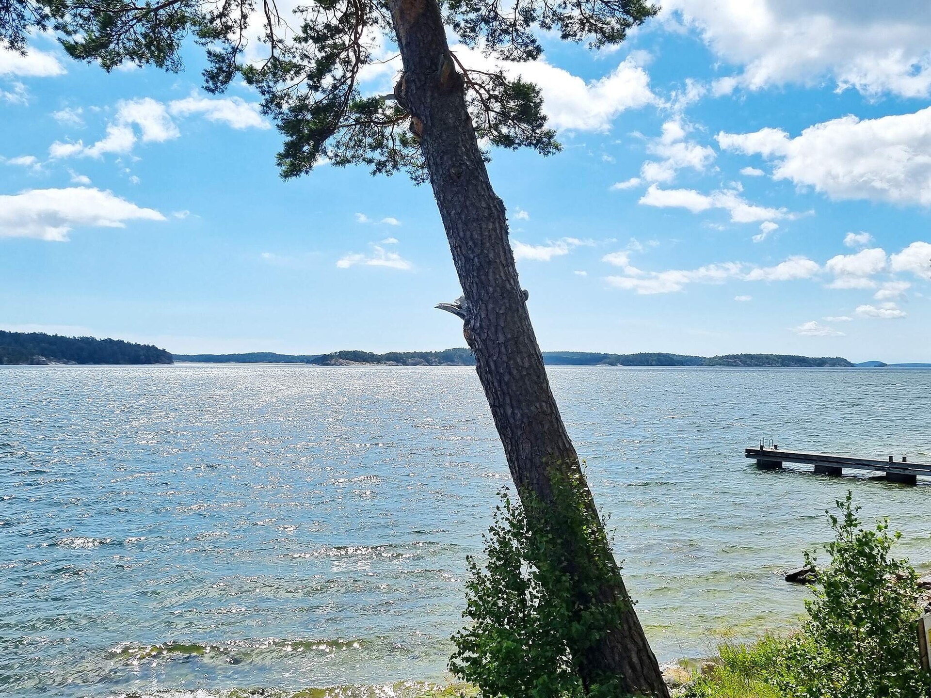Vrijstaand vakantiehuis met zeezicht en weelderige tuin nabij Stockholm - foto 11