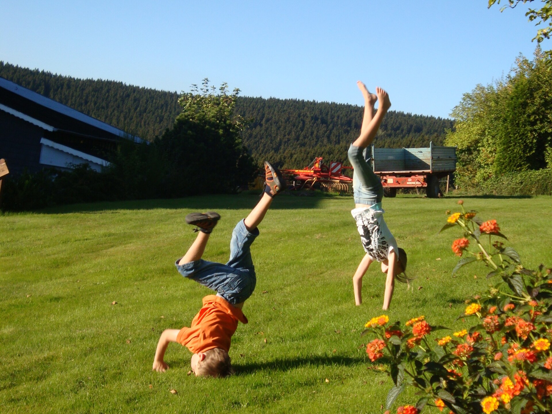 Sauerland appartement op boerderij met bosrijke omgeving en terras - foto 34