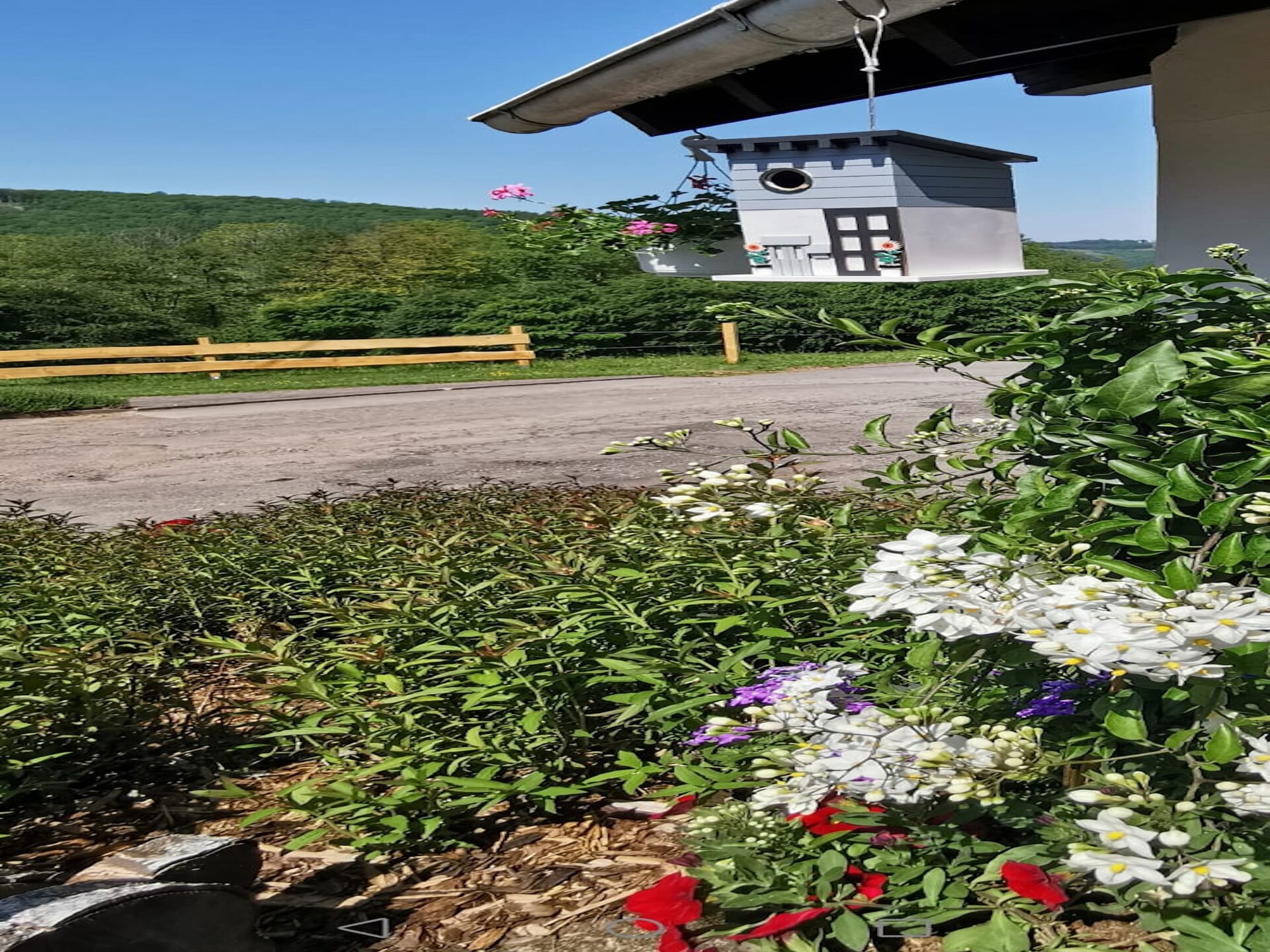 Sauerland appartement op boerderij met bosrijke omgeving en terras - foto 14