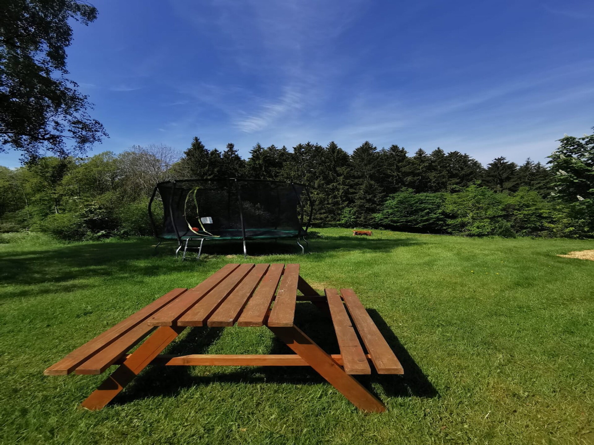 Sauerland appartement op boerderij met bosrijke omgeving en terras - foto 15