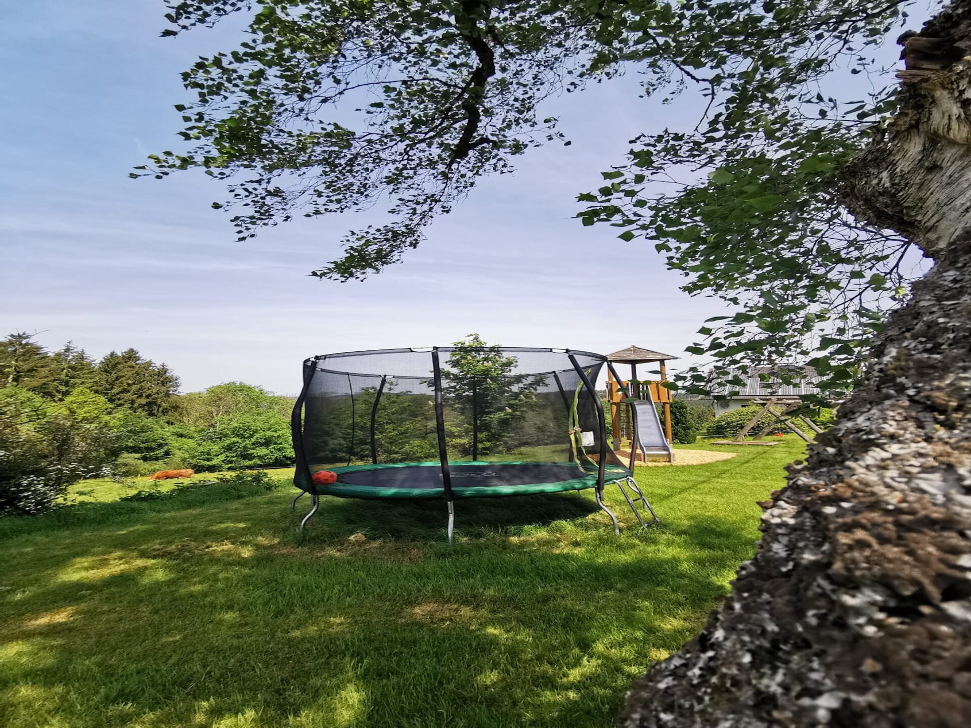 Sauerland appartement op boerderij met bosrijke omgeving en terras - foto 7