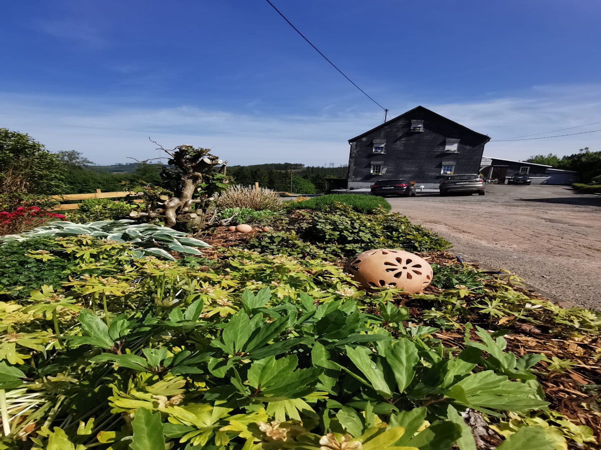 Sauerland appartement op boerderij met bosrijke omgeving en terras - foto 19