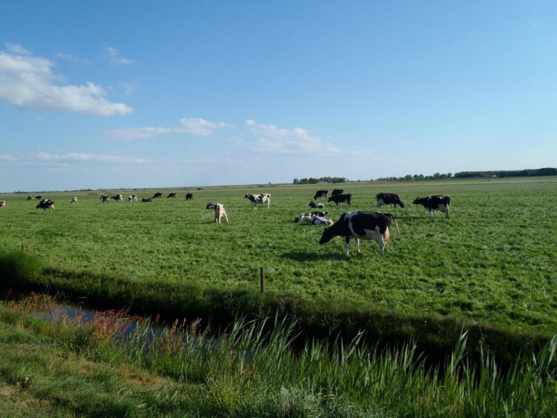 Vrijstaande bungalow in Gaasterland, nabij Slotermeer en golfbaan - foto 22