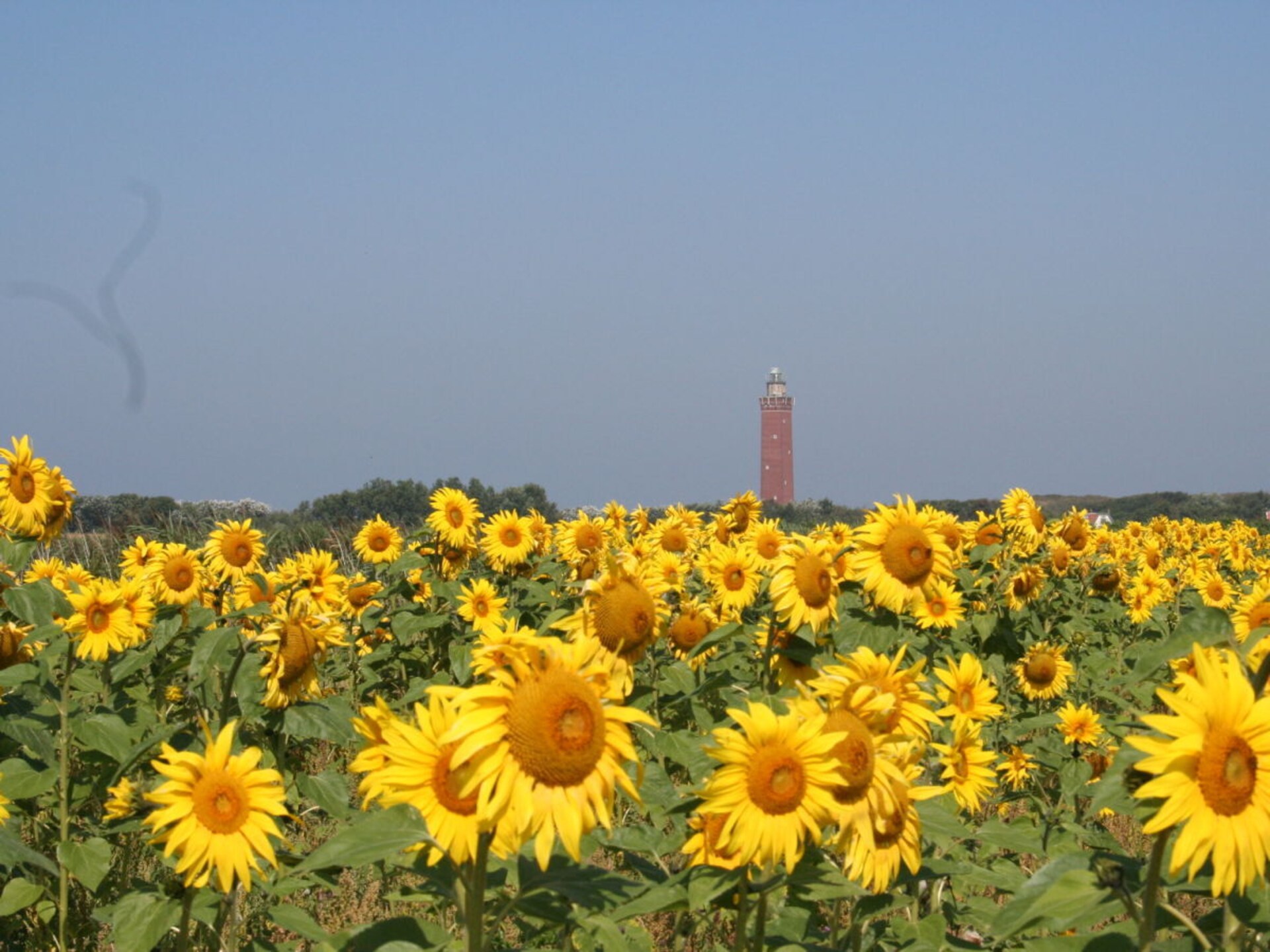 Comfortabel vakantiehuis in Ouddorp, 10 minuten van strand - foto 15