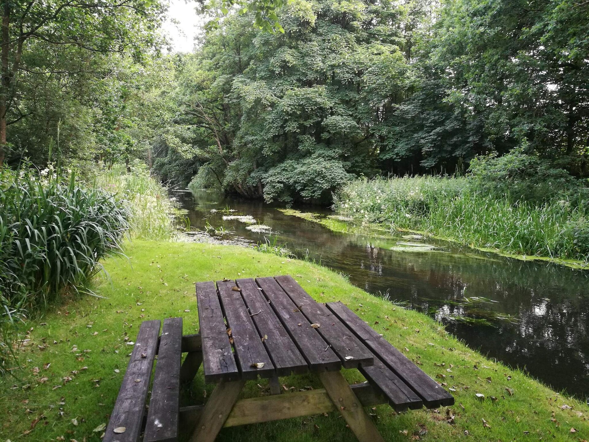 Nieuw vakantiehuis in Hovborg: rust, natuur en comfort voor 6 personen - foto 11