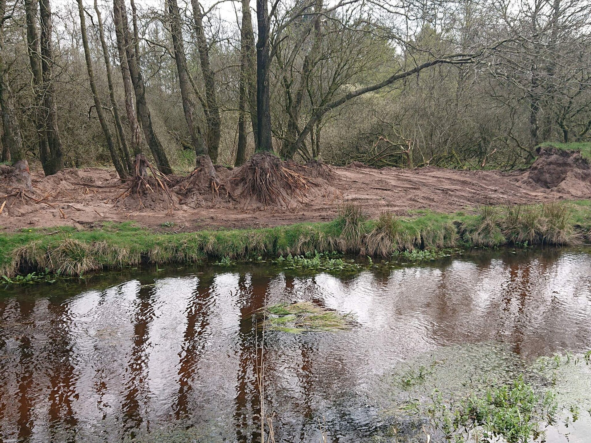 Nieuw vakantiehuis in Hovborg: rust, natuur en comfort voor 6 personen - foto 19