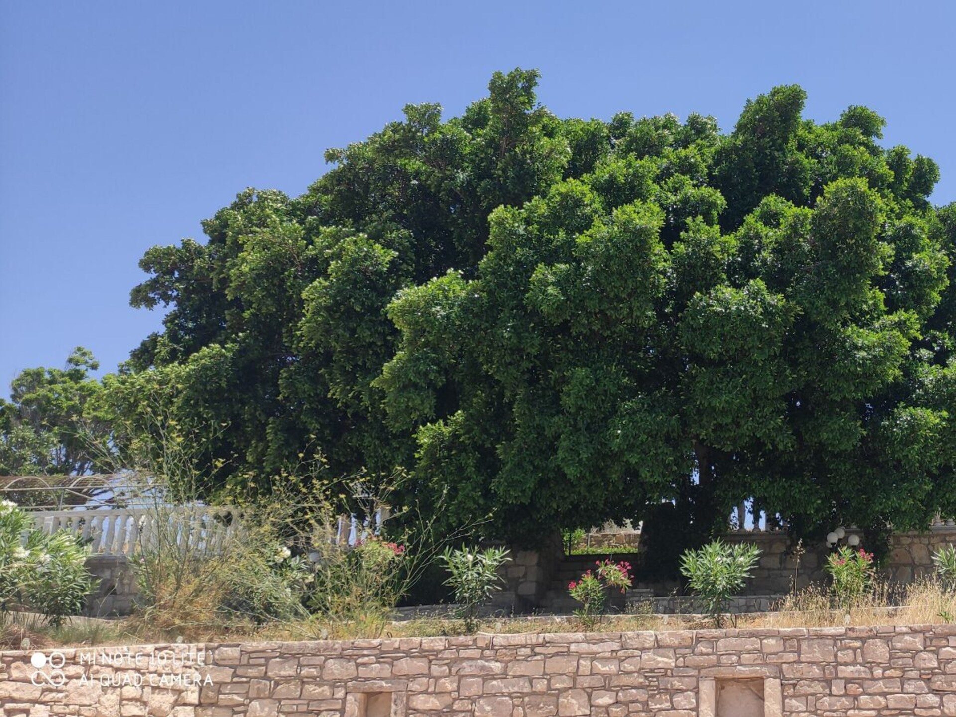 Ruime villa met zwembad in Pitsidia, Kreta – 8 personen, 300m² - foto 10