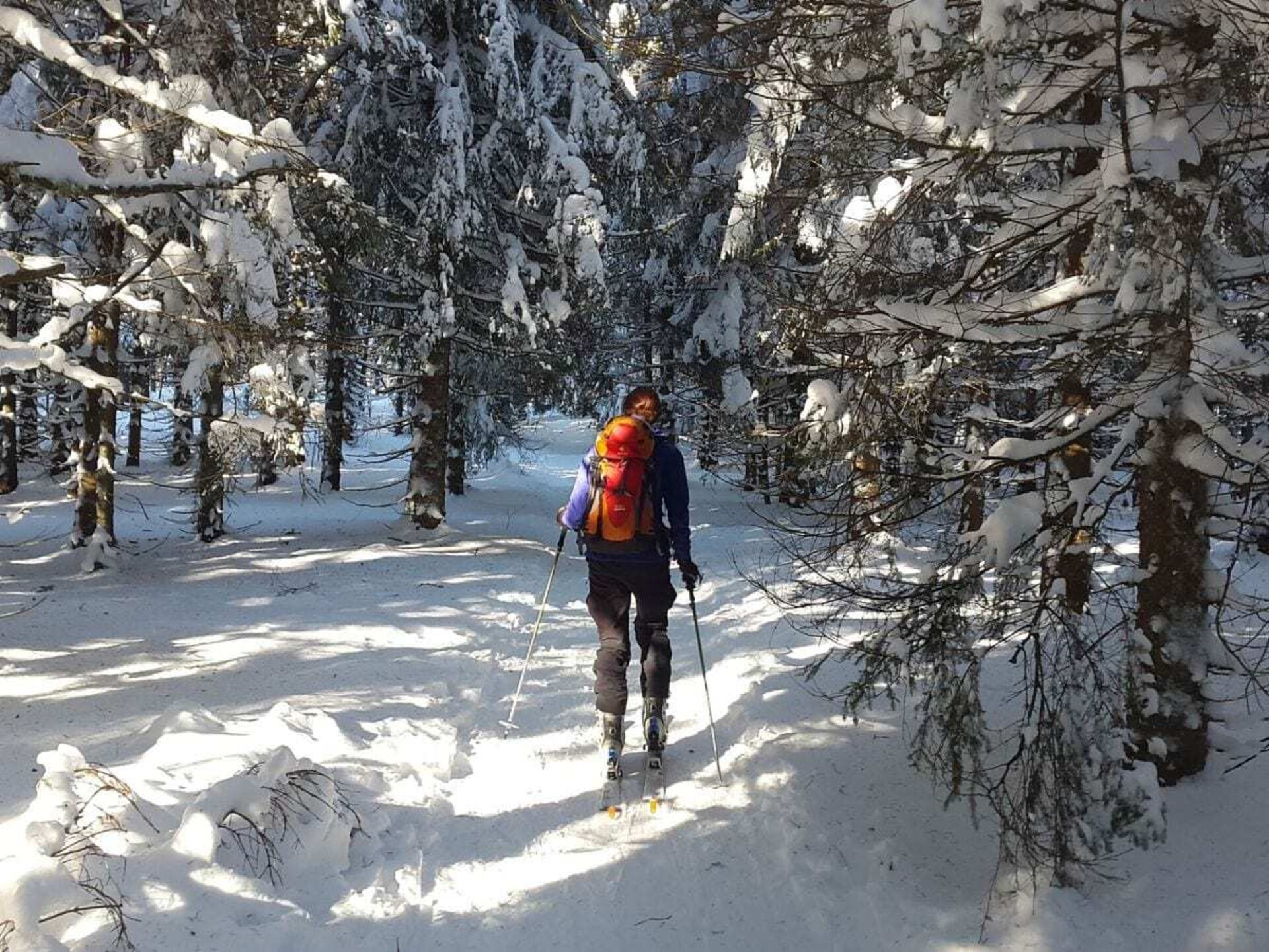 Knus vakantiehuis in Winterberg met WiFi, hond welkom op 500m van de piste - foto 22