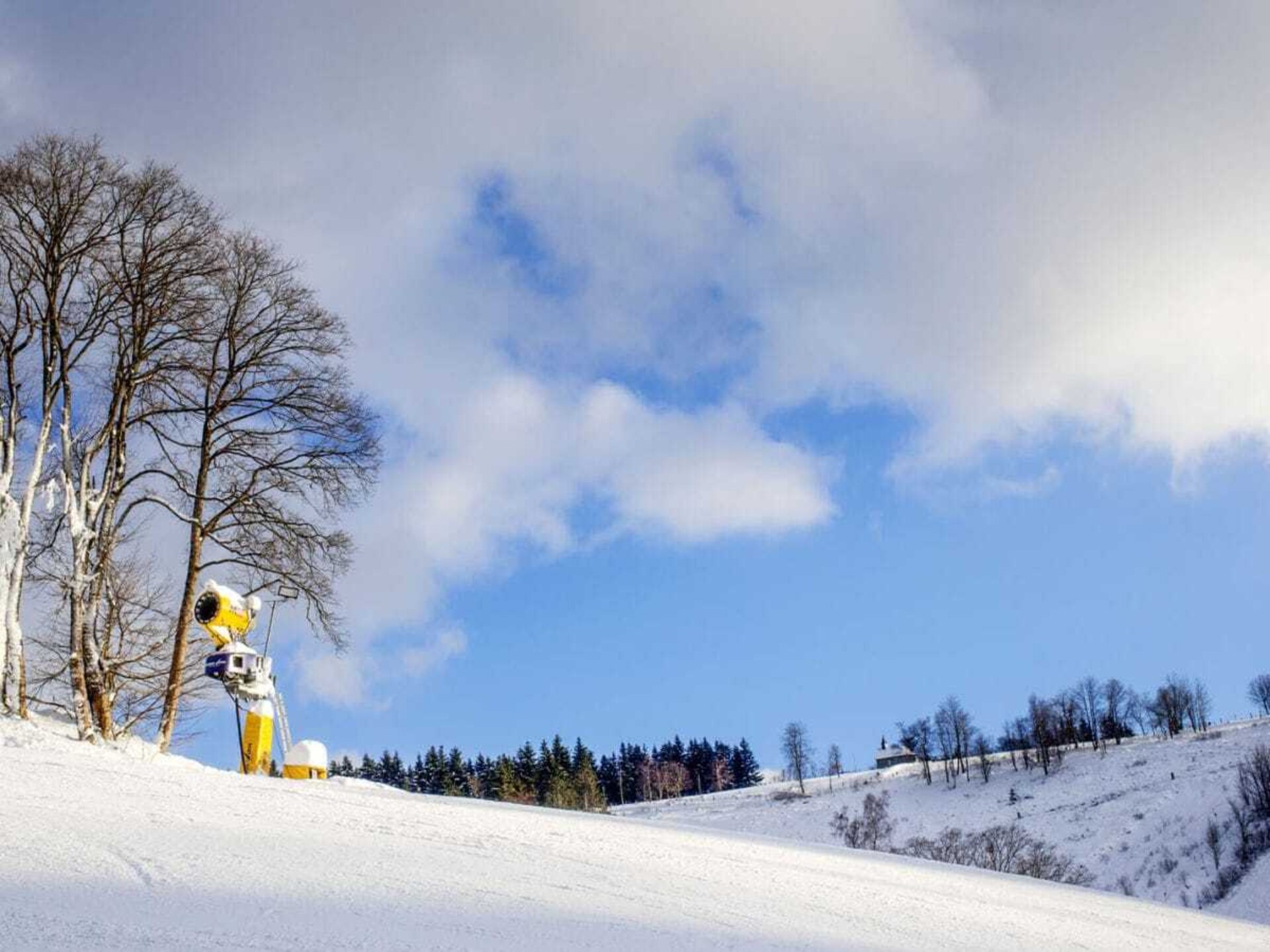 Knus vakantiehuis in Winterberg met WiFi, hond welkom op 500m van de piste - foto 23