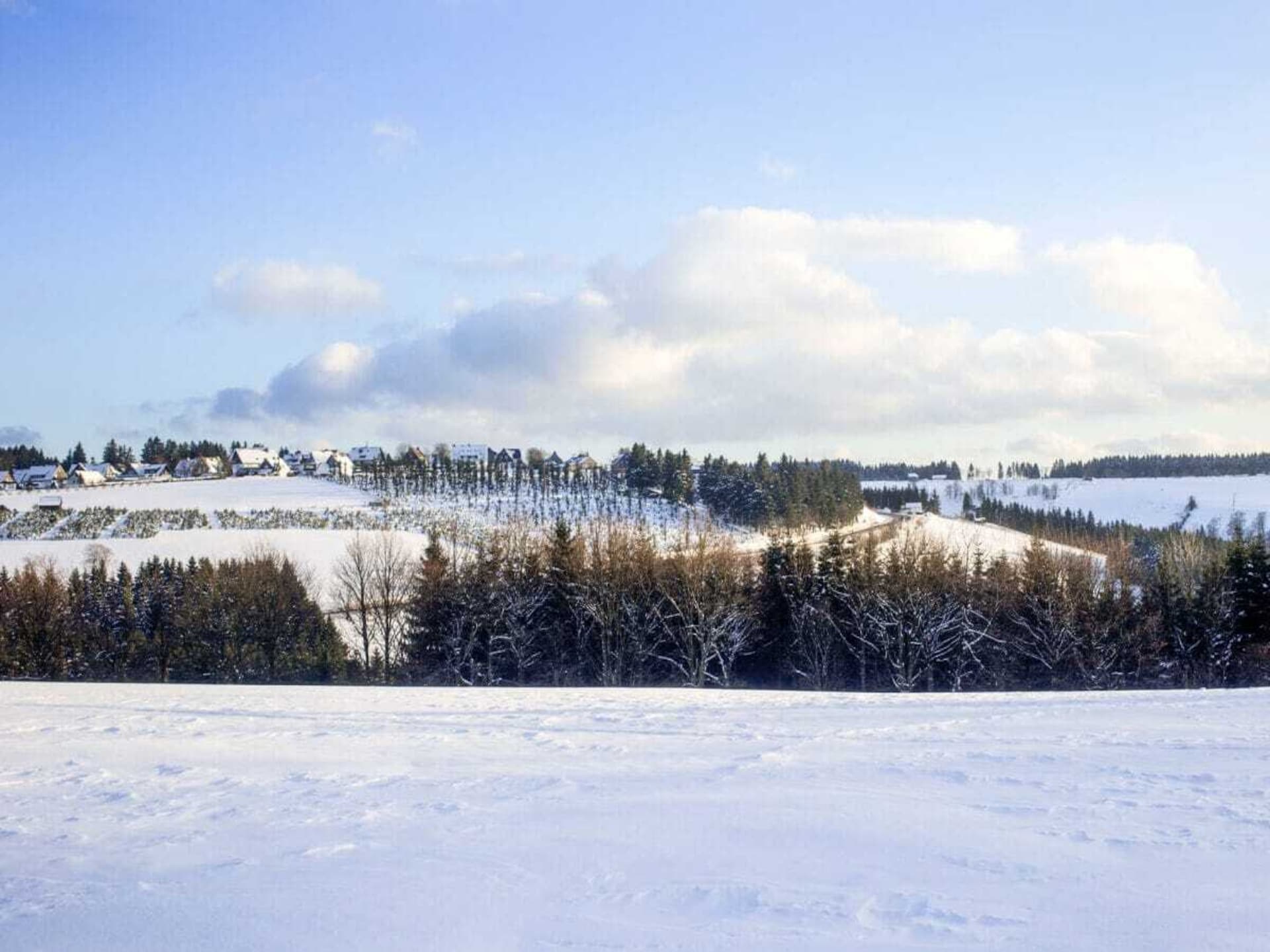 Op 1 km van centrum: sfeervol vakantiehuis in Winterberg - foto 27