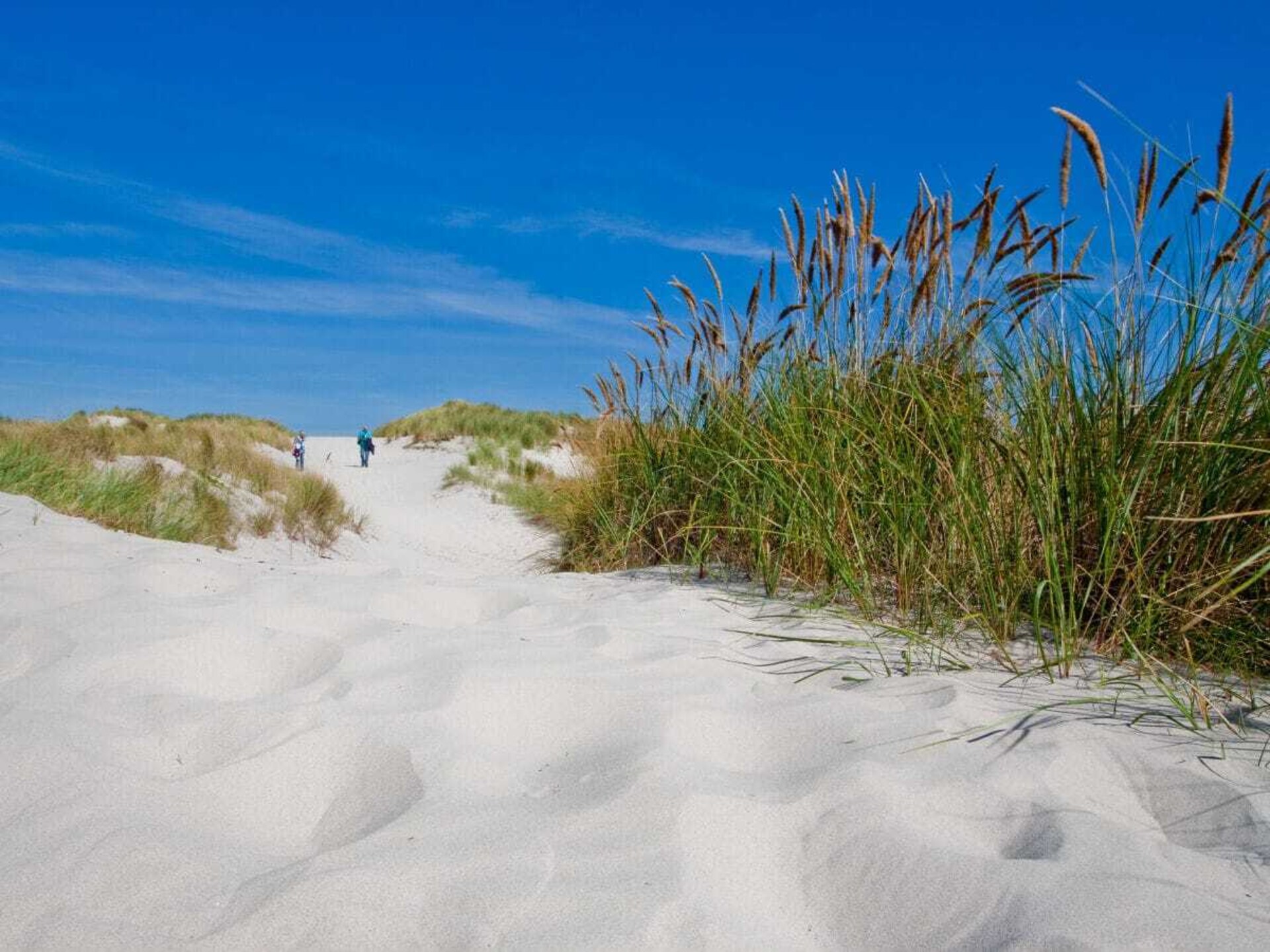 Luxe vakantiehuis voor 8 personen op Ameland, vlakbij Ballum - foto 31
