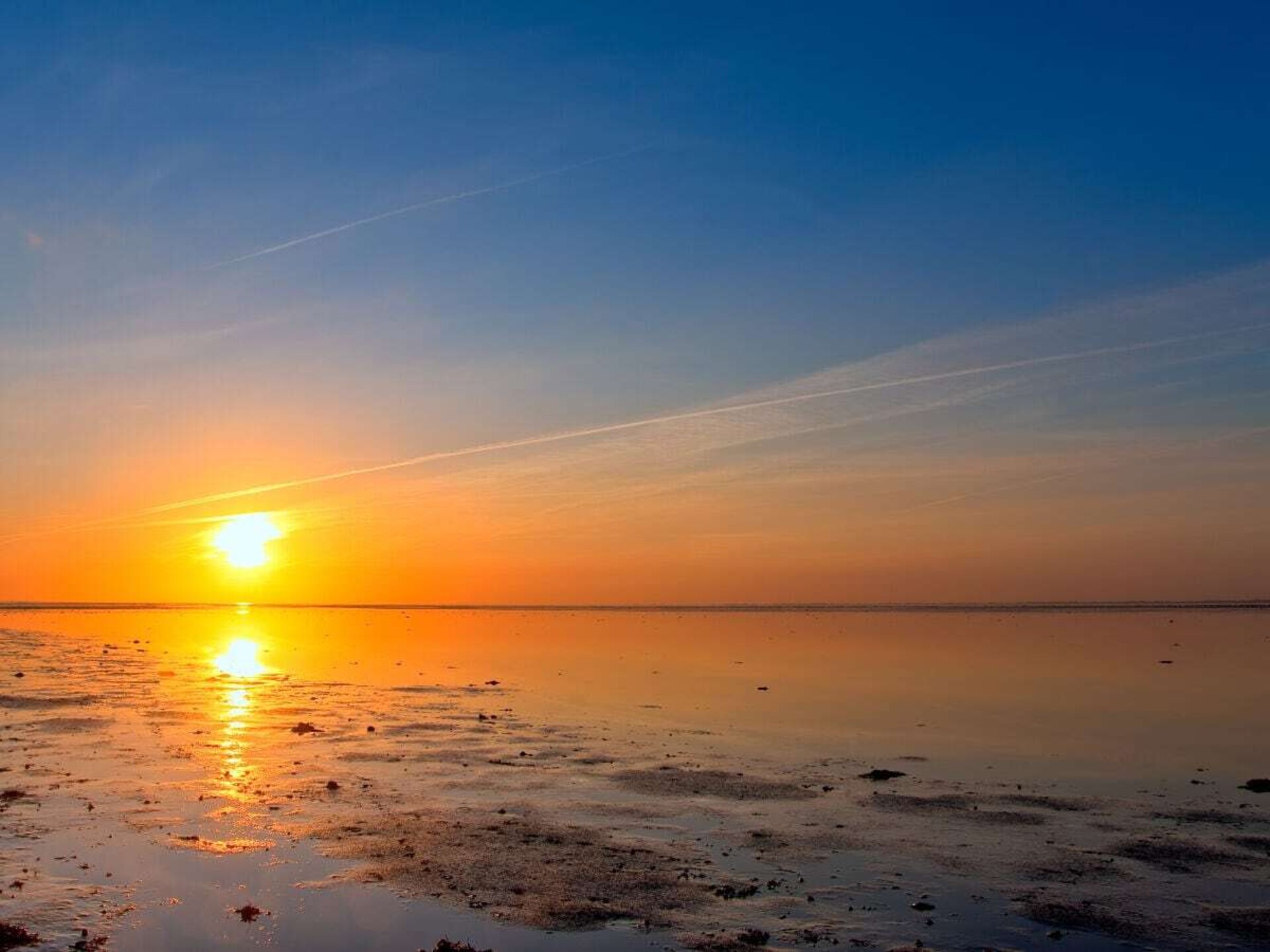 Luxe vakantiehuis voor 8 personen op Ameland, vlakbij Ballum - foto 35
