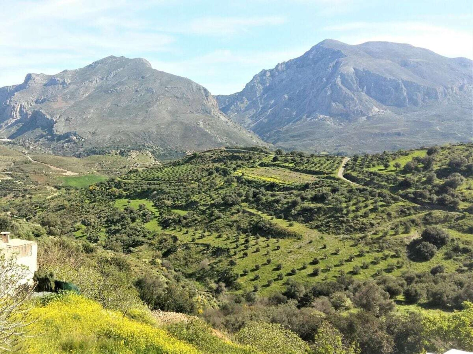 Ruim vakantiehuis voor 8 personen nabij Rethymnon, Kreta – hond welkom - foto 10