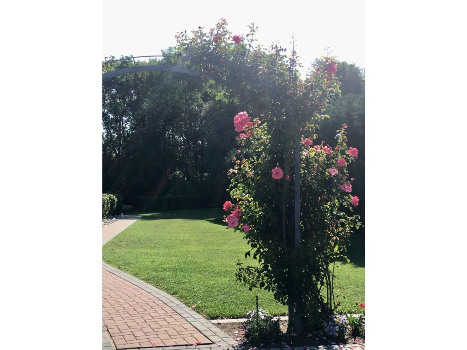 Knus vakantiehuis in Kägsdorf | 4 personen | WLAN - foto 8