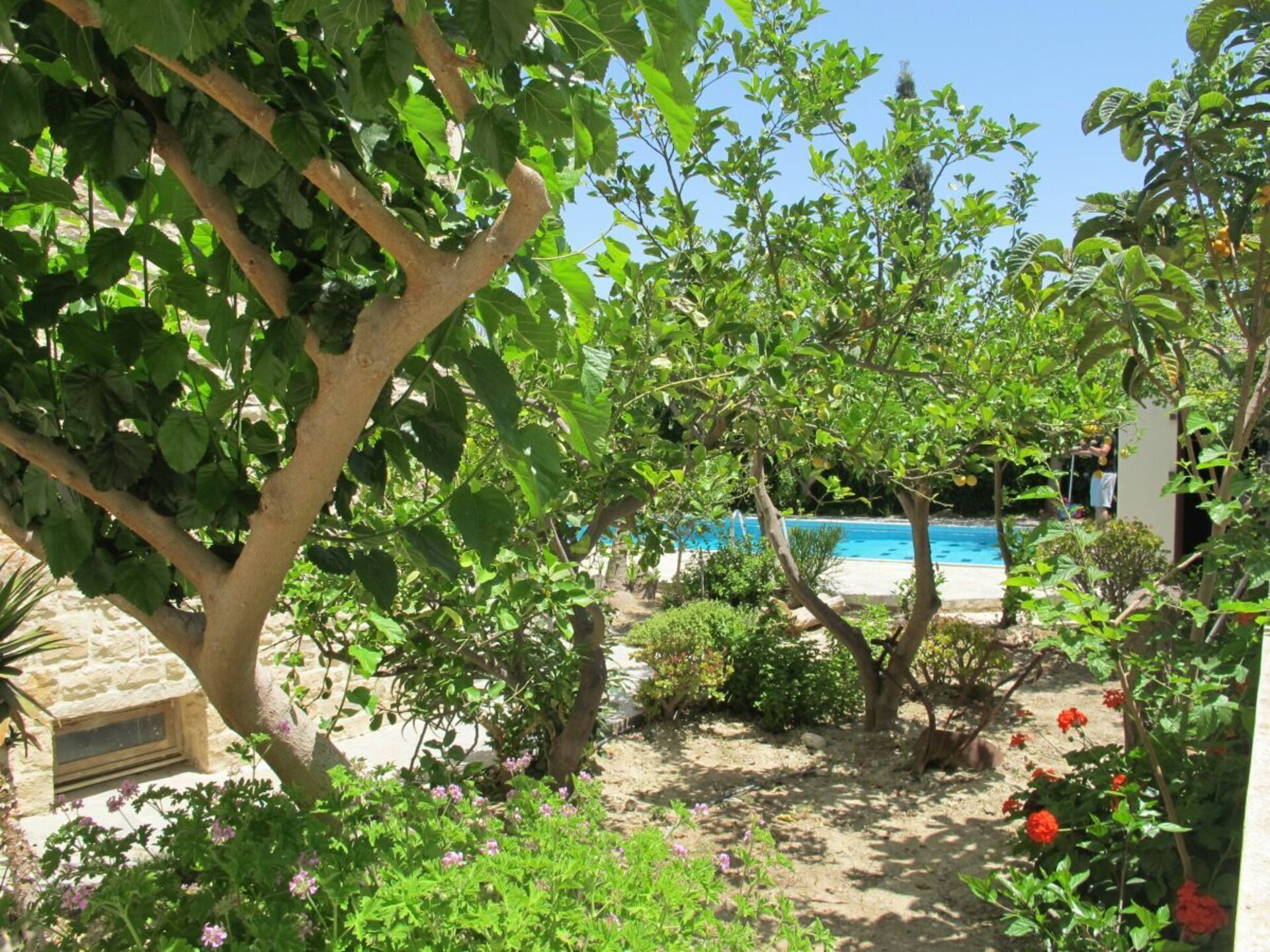 Ruim vakantiehuis voor 8 personen in Pitsidia, vlakbij het strand - foto 14