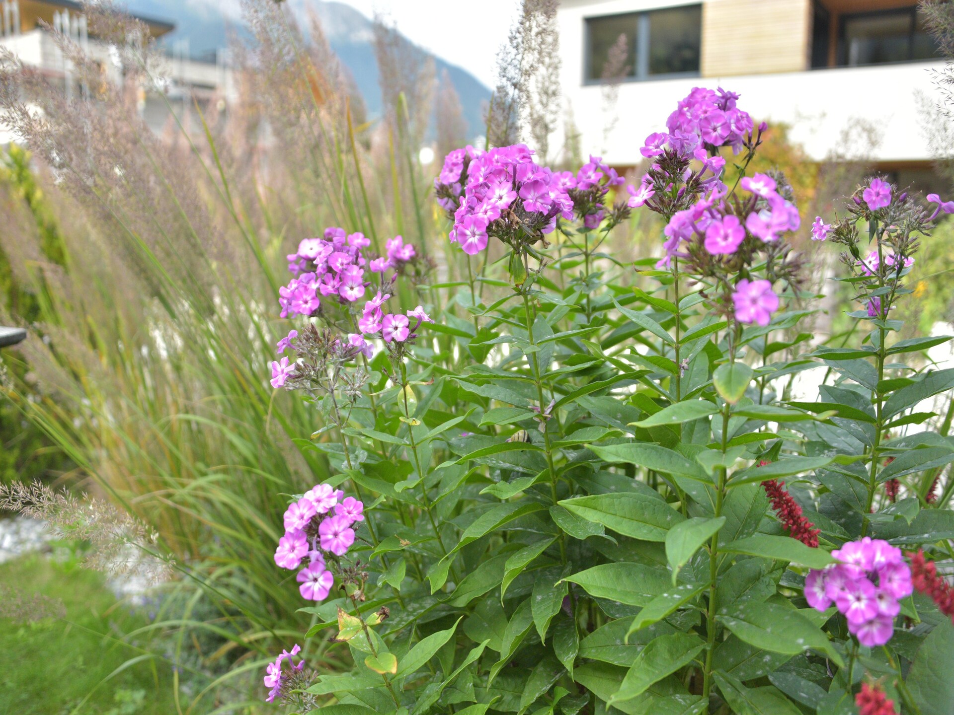 Knus appartement in Fulpmes met tuin, vlakbij de Stubaier Gletscher - foto 29