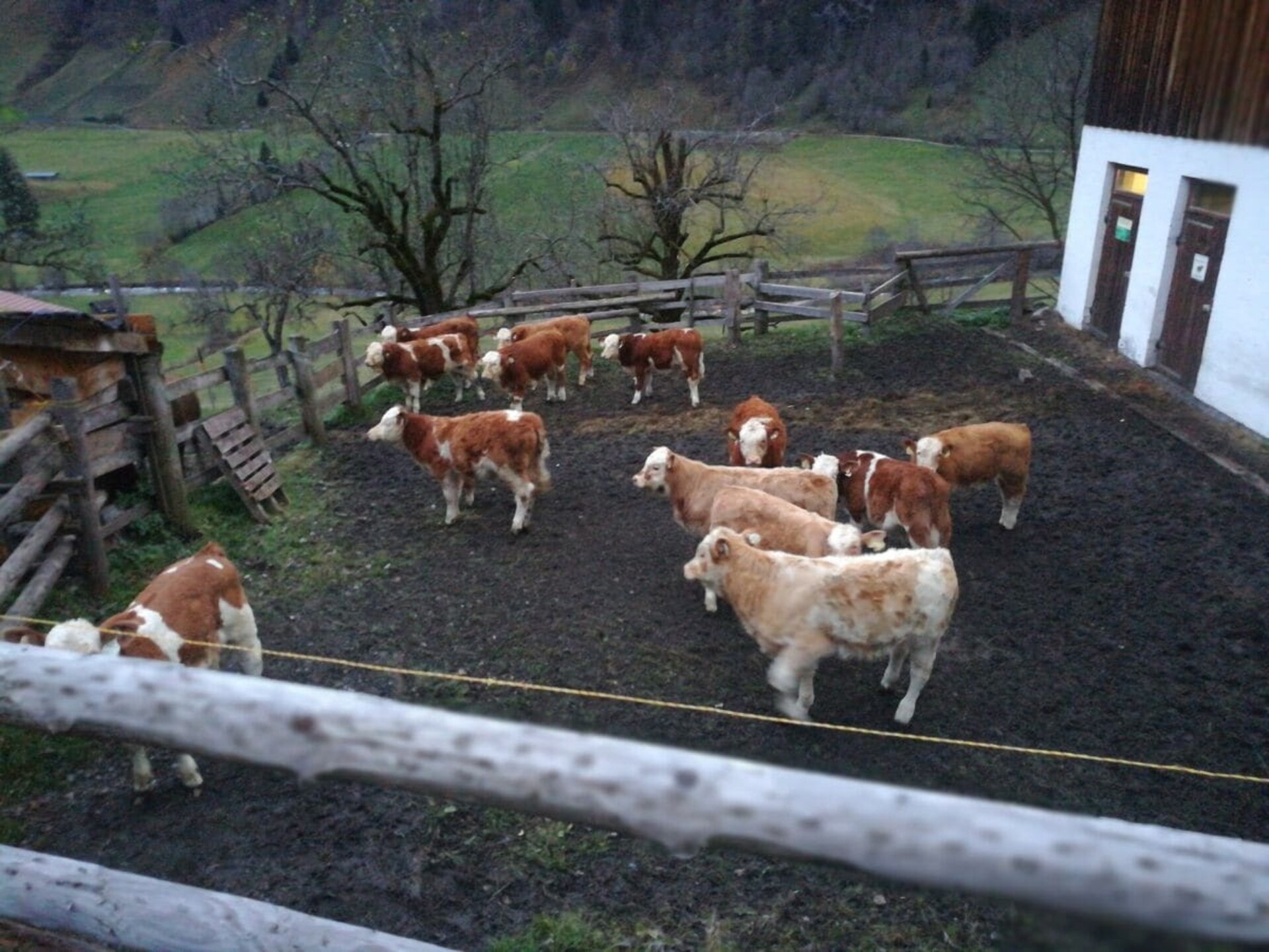 Knus vakantiehuis op boerderij in Rauris met bergzicht en tuin - foto 9