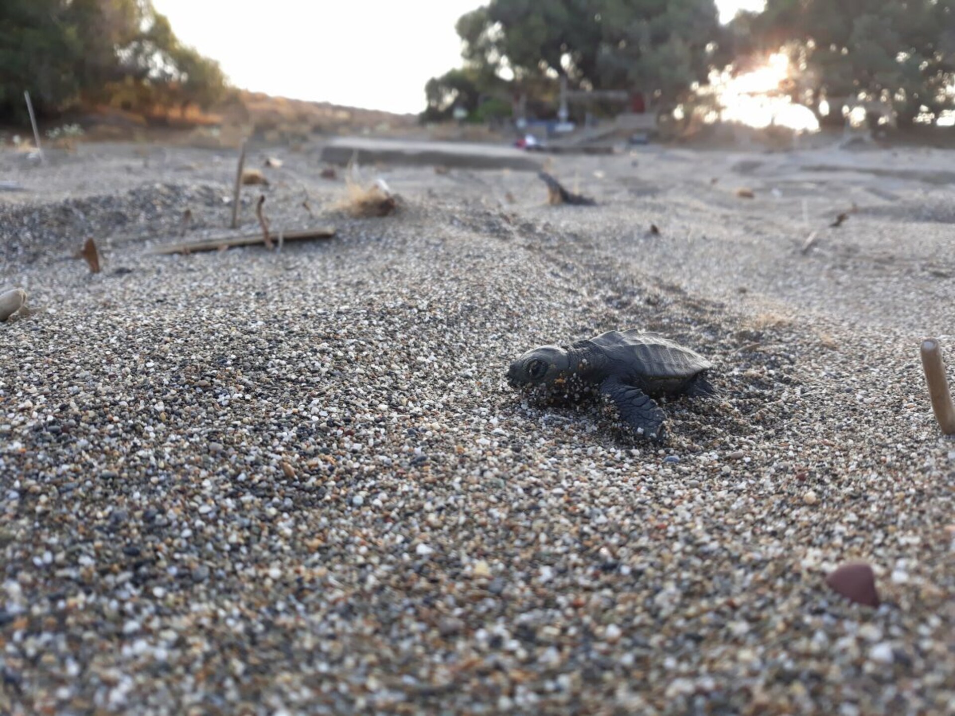 Knus vakantiehuis voor 2 in Matala, vlakbij het strand - foto 24