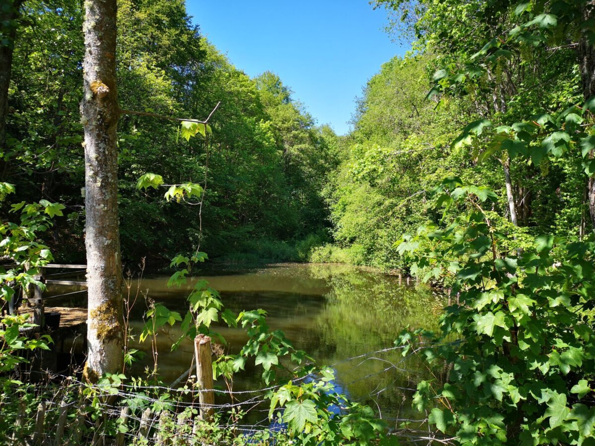 Knus vakantiehuis voor 4 in Schleiden, Eifel – 13 km van skilift - foto 11