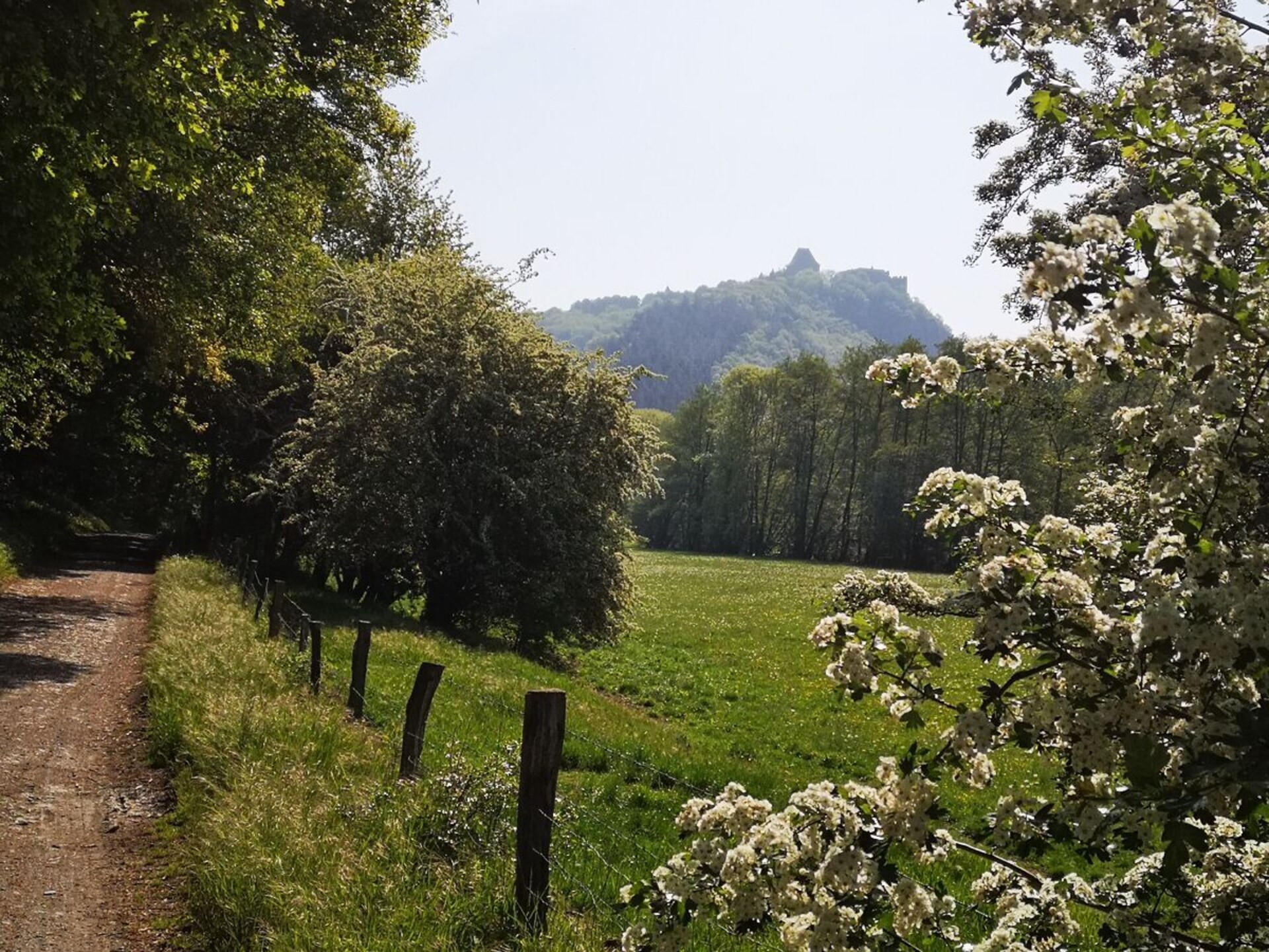 Knus vakantiehuis voor 4 in Schleiden, Eifel – 13 km van skilift - foto 30