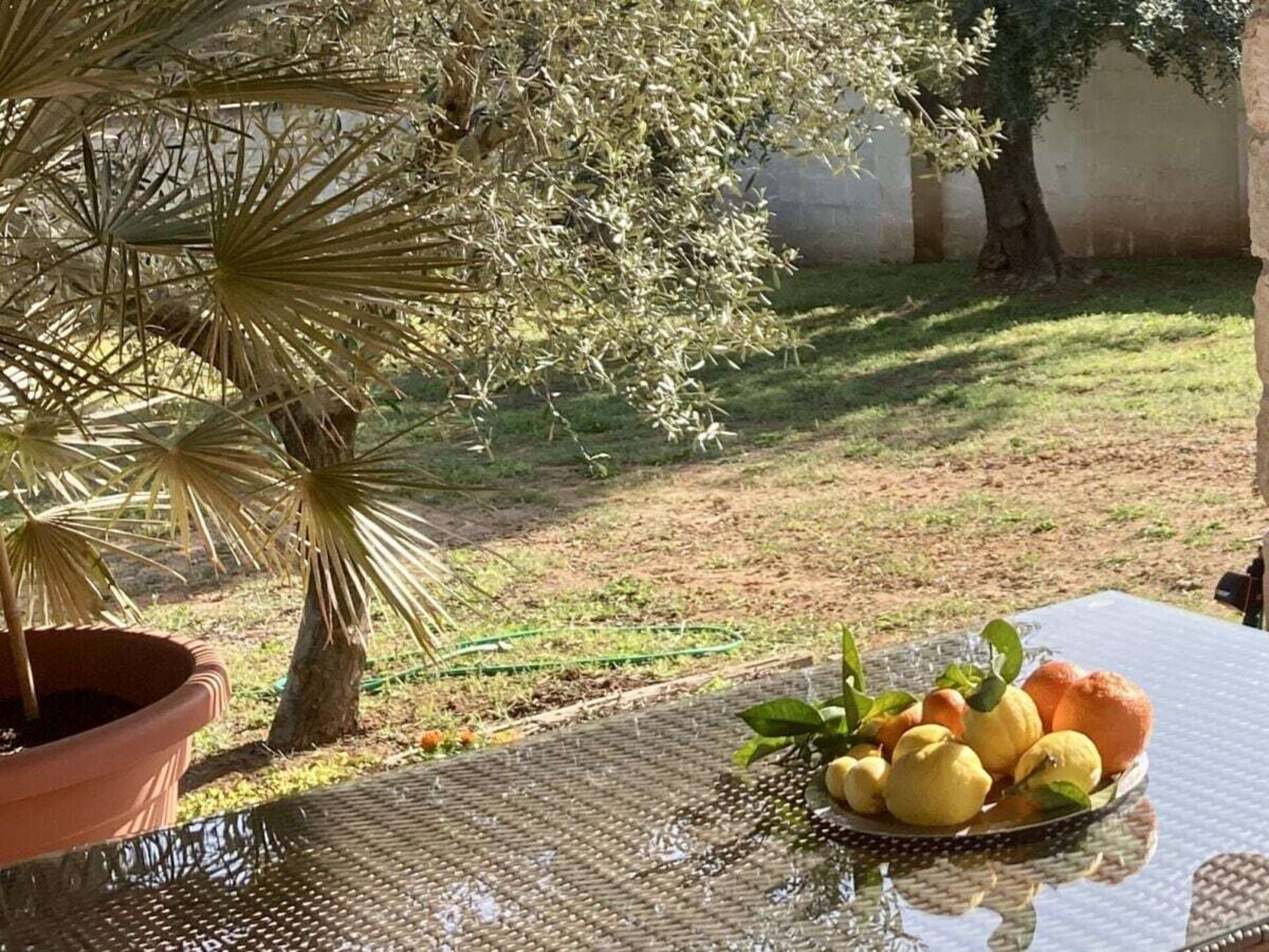Casa Ulivo: Authentiek vakantiehuis aan de Ionische kust van Apulië - foto 5