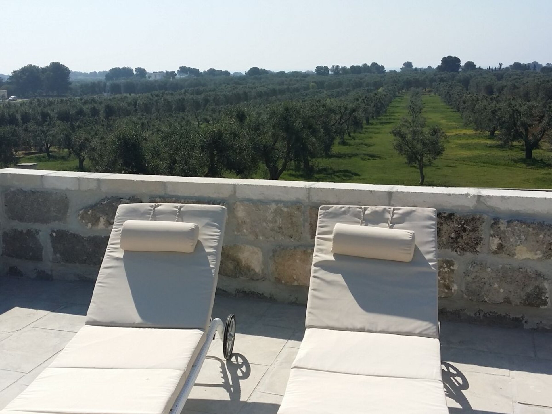 Casa Ulivo: Authentiek vakantiehuis aan de Ionische kust van Apulië - foto 12