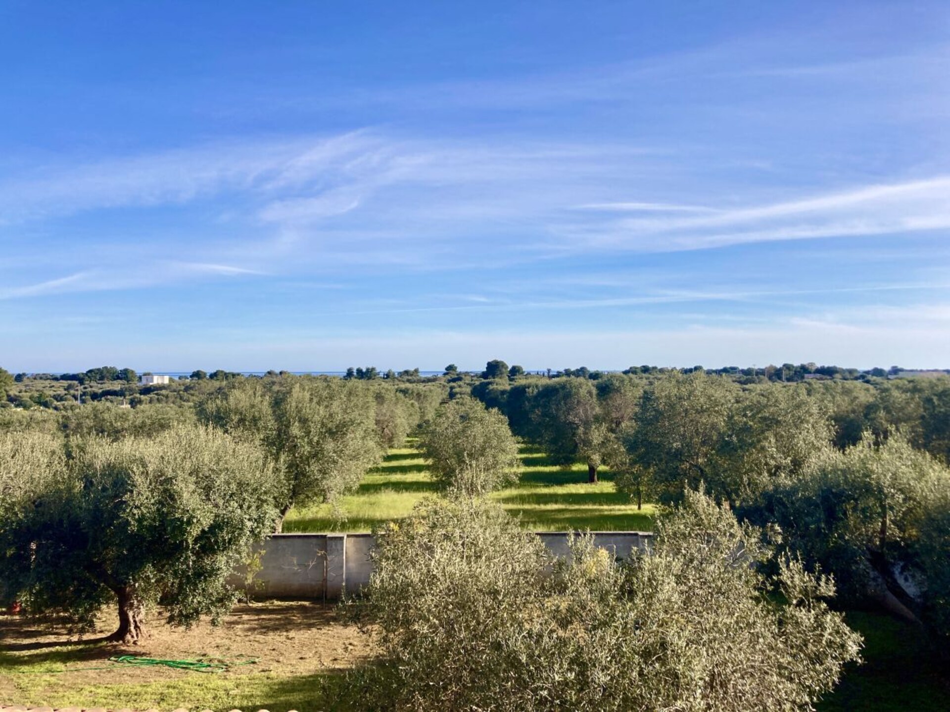 Casa Ulivo: Authentiek vakantiehuis aan de Ionische kust van Apulië - foto 13