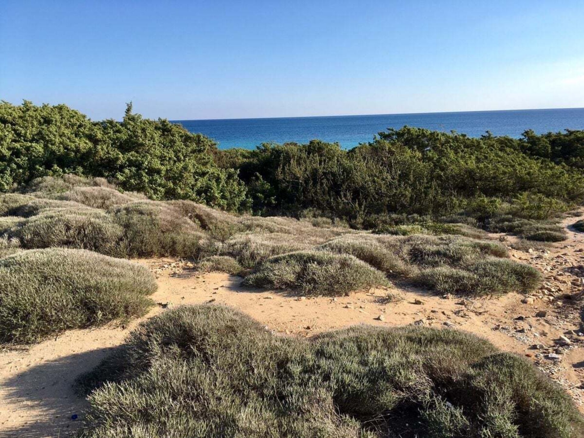 Casa Ulivo: Authentiek vakantiehuis aan de Ionische kust van Apulië - foto 27