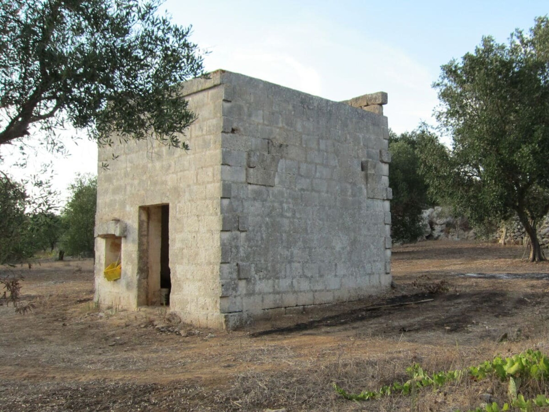 Casa Ulivo: Authentiek vakantiehuis aan de Ionische kust van Apulië - foto 32