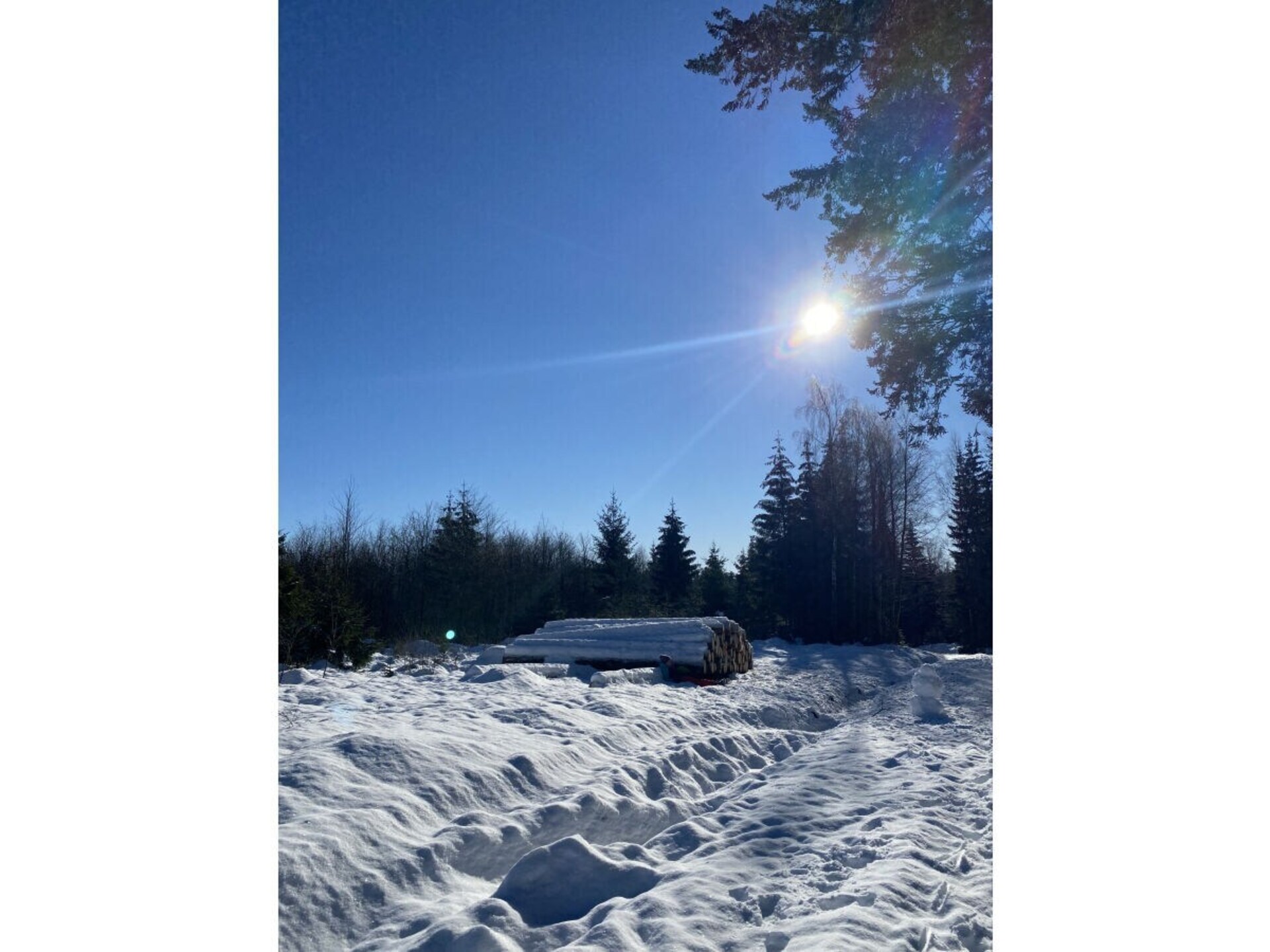 Knus vakantiehuis voor 6 personen in Braunlage, op 500m van skilift en centrum - foto 30