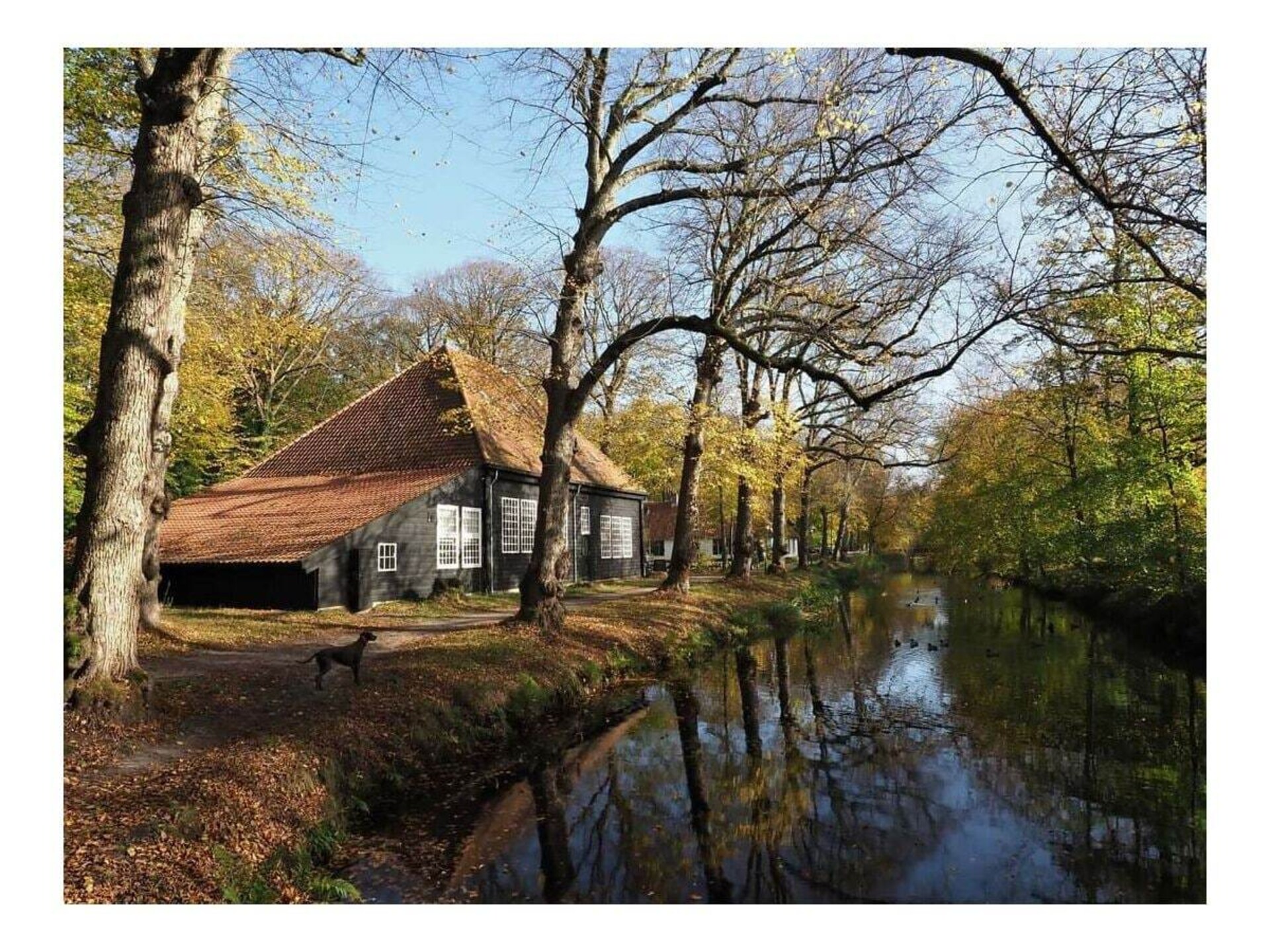 Romantisch vakantiehuis in Bergen, 2 km van het centrum - foto 13