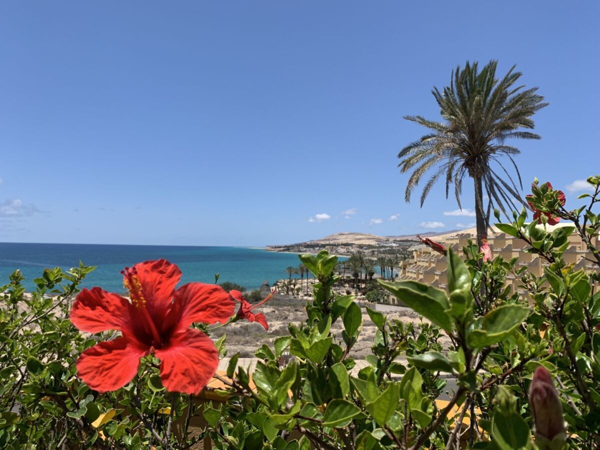 Knus vakantiehuis met WiFi op 1 km van strand Costa Calma - foto 10