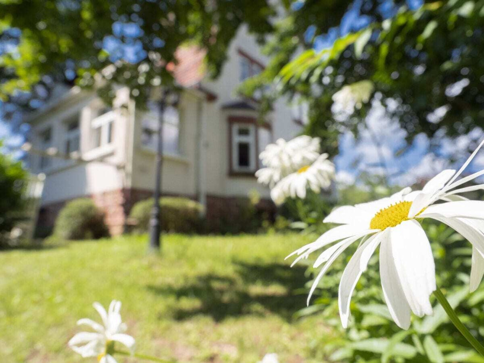 Ruime villa voor 14 personen in Wissembourg, op 500m van het centrum - foto 9